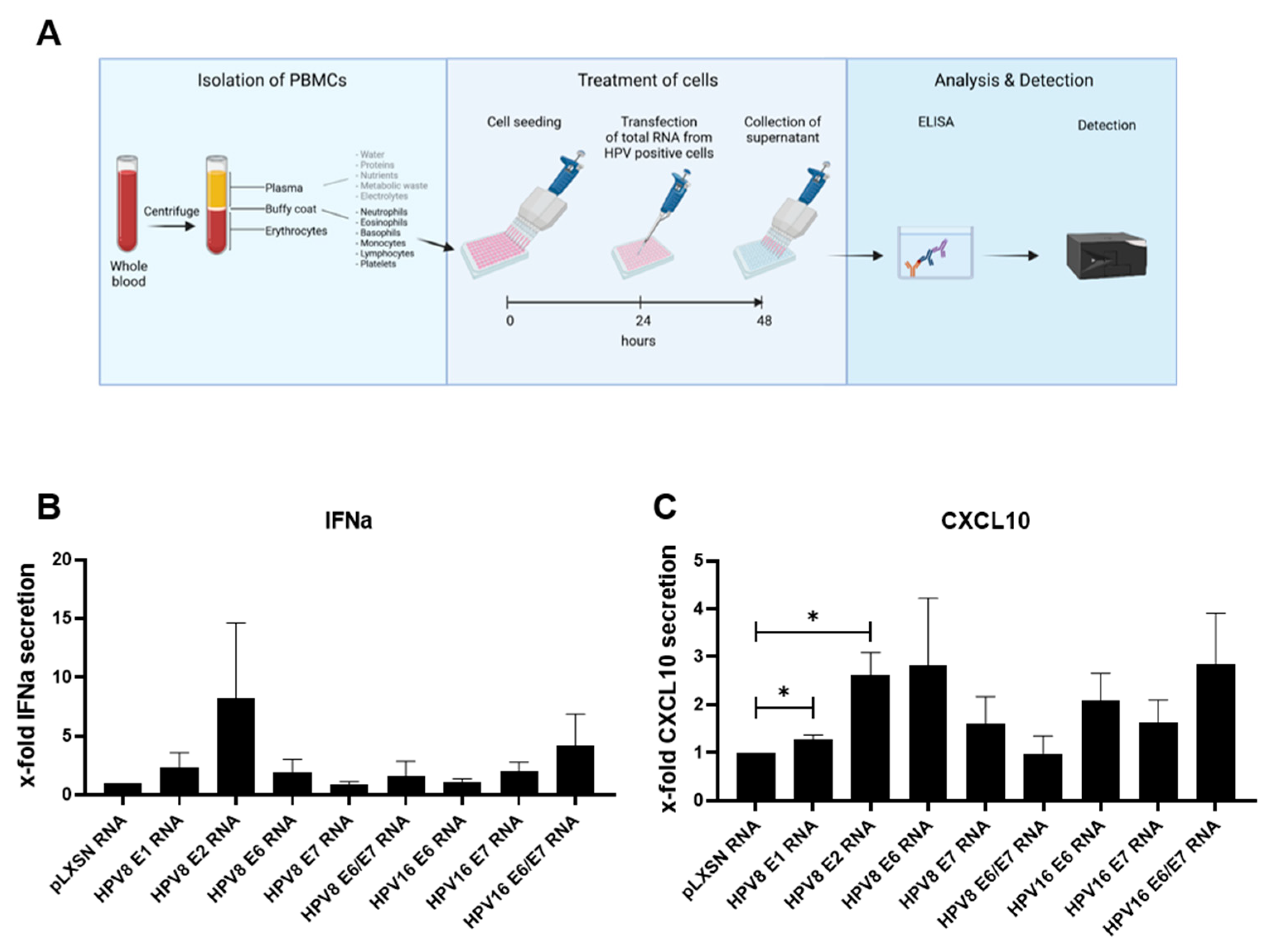 Viruses 14 01361 g005