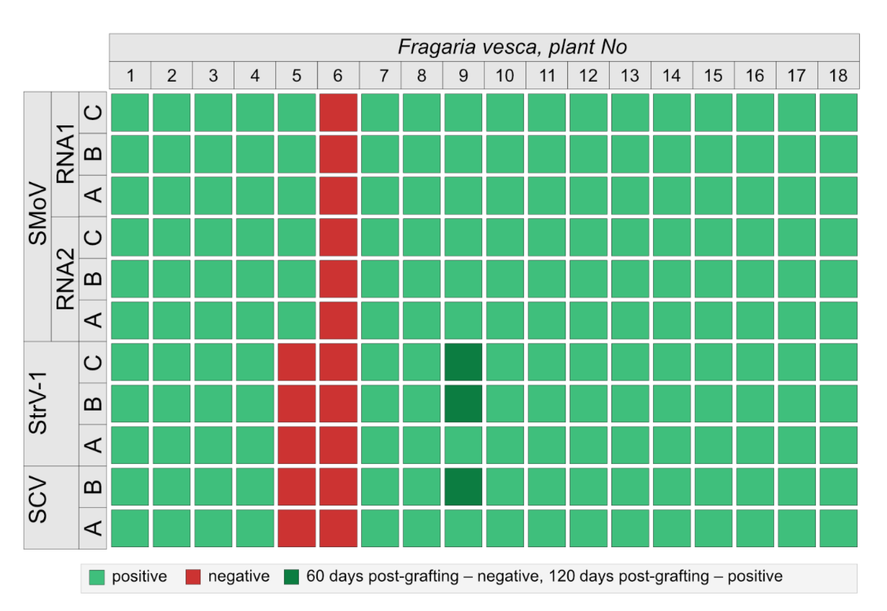 Viruses 14 01362 g001