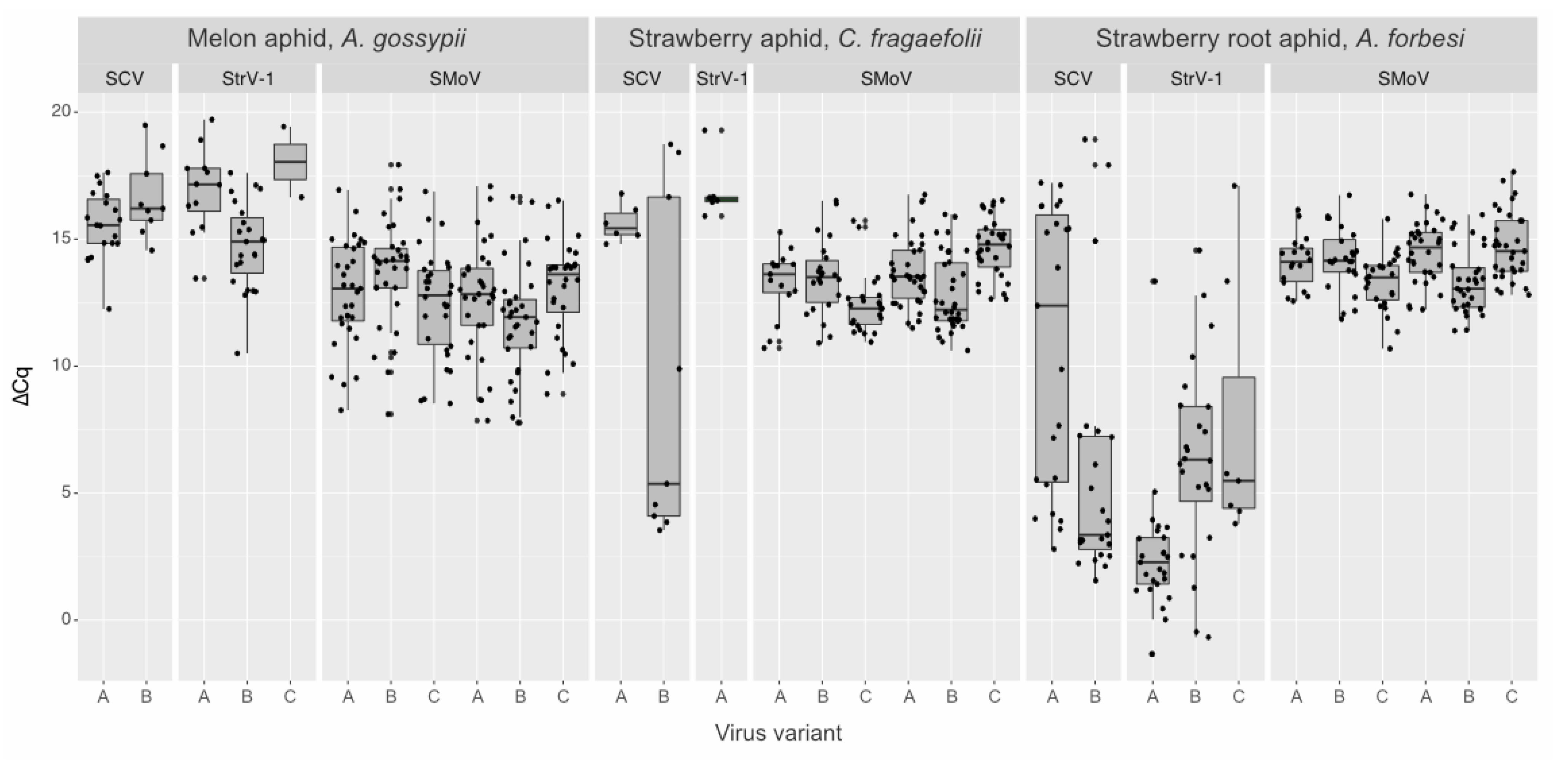 Viruses 14 01362 g002