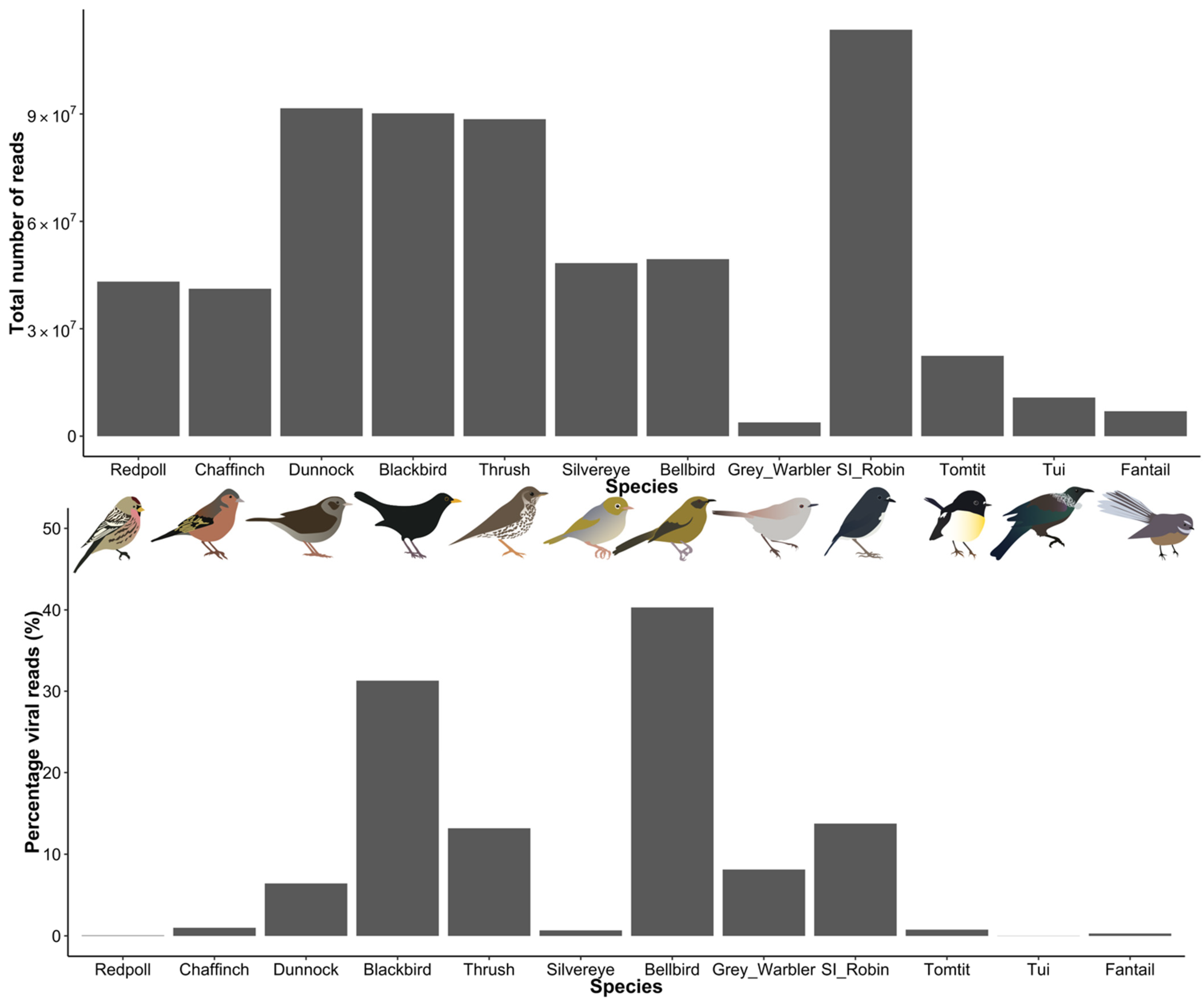 Viruses 14 01364 g002