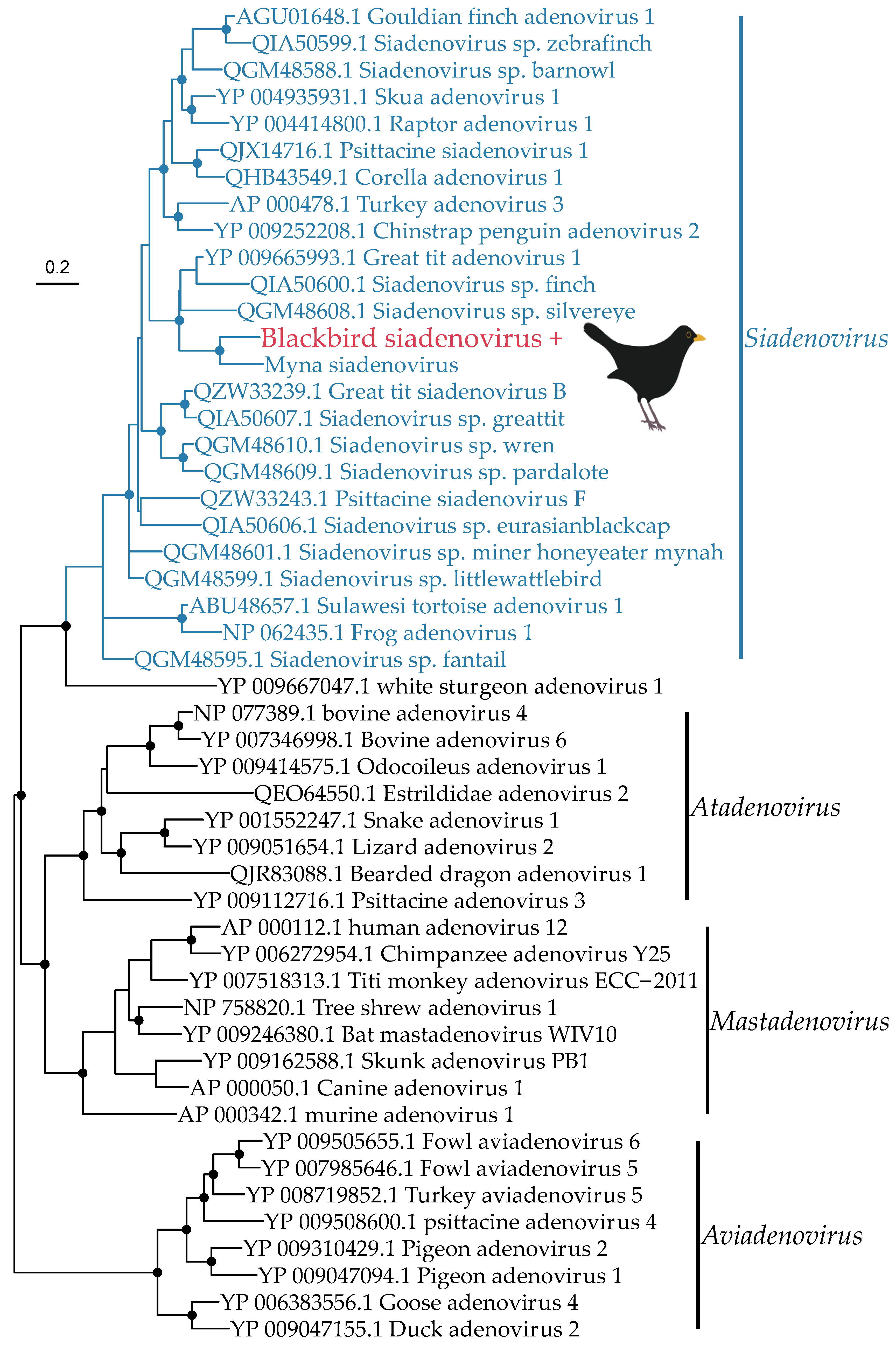 Viruses 14 01364 g005