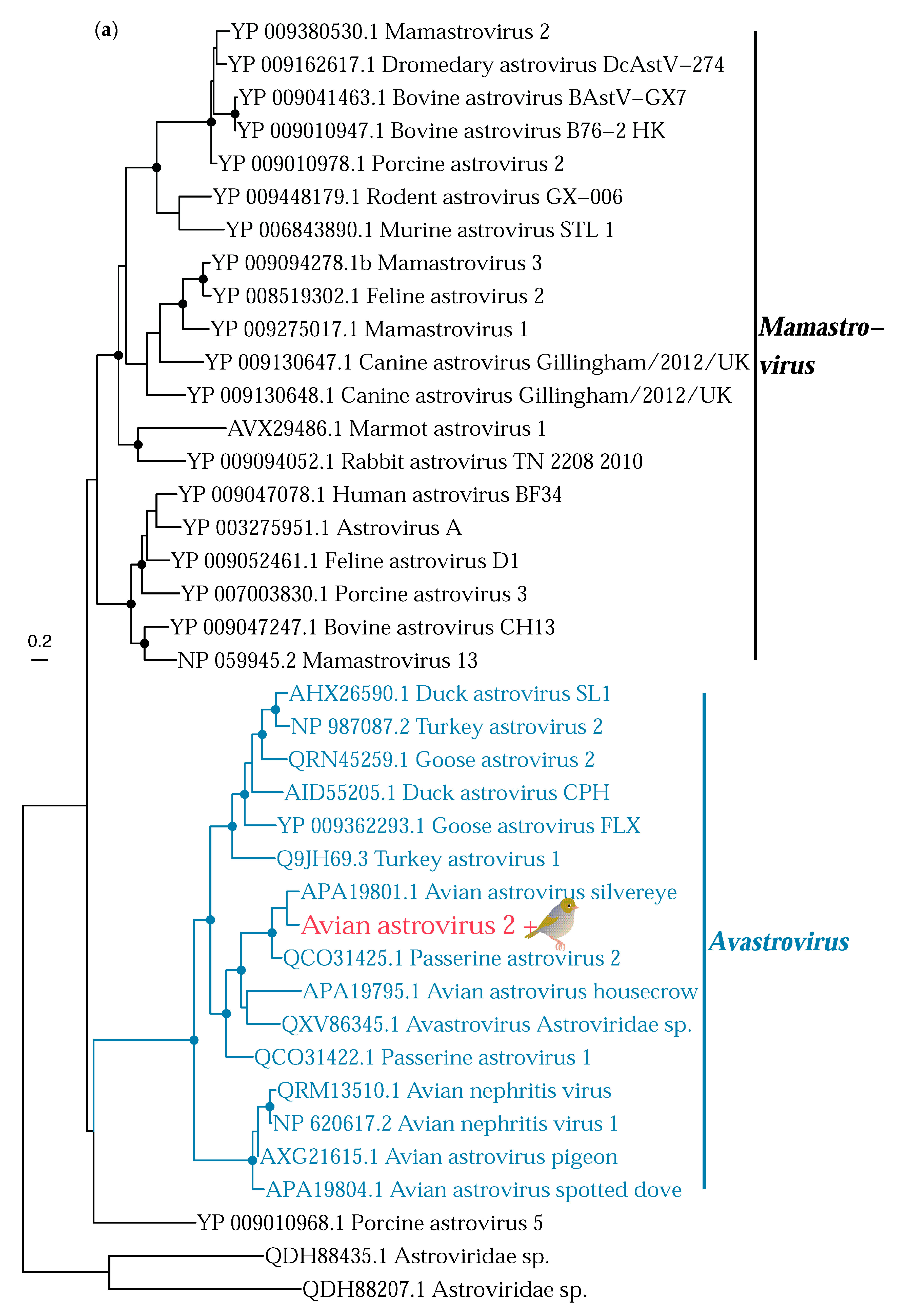 Viruses 14 01364 g007a