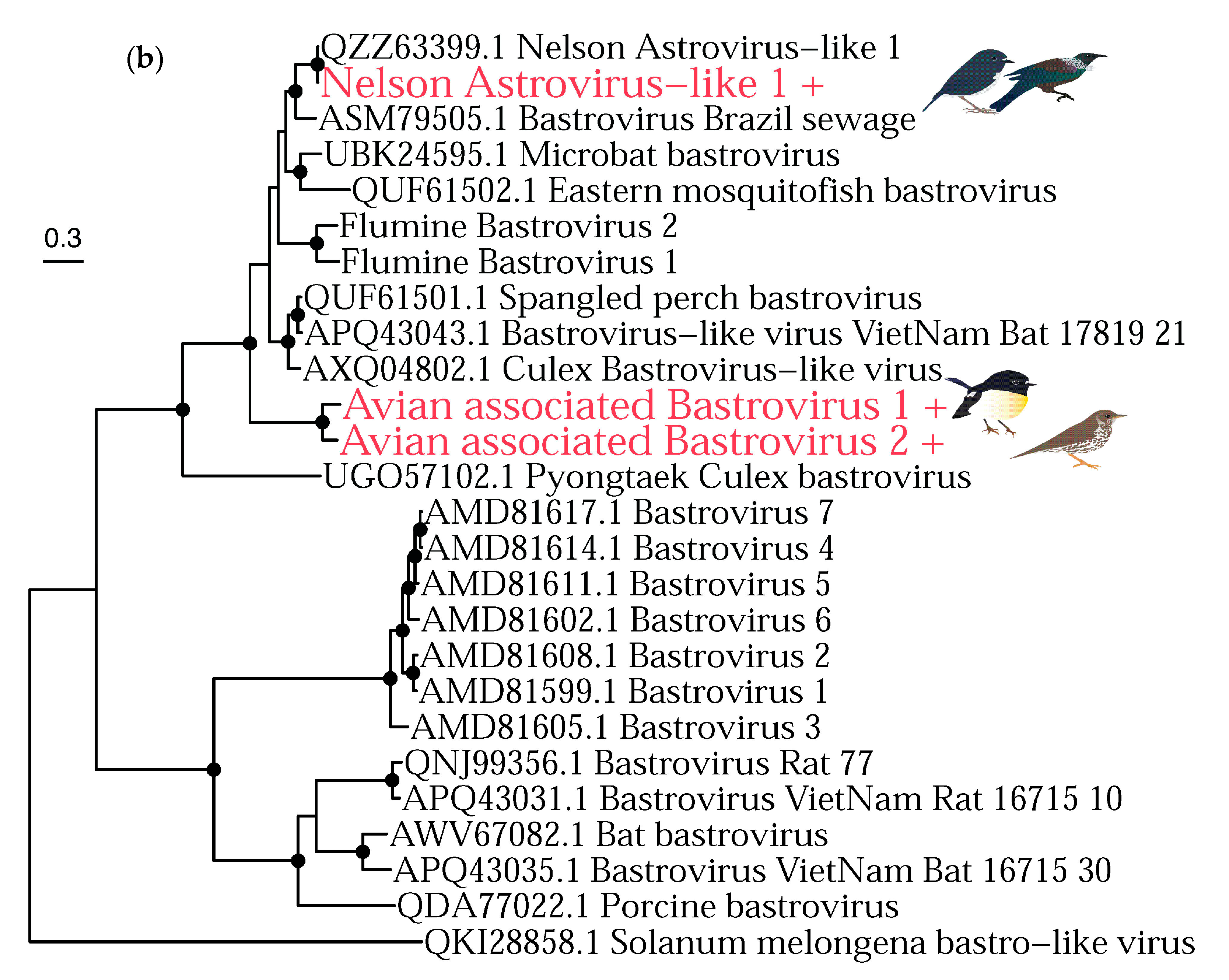 Viruses 14 01364 g007b