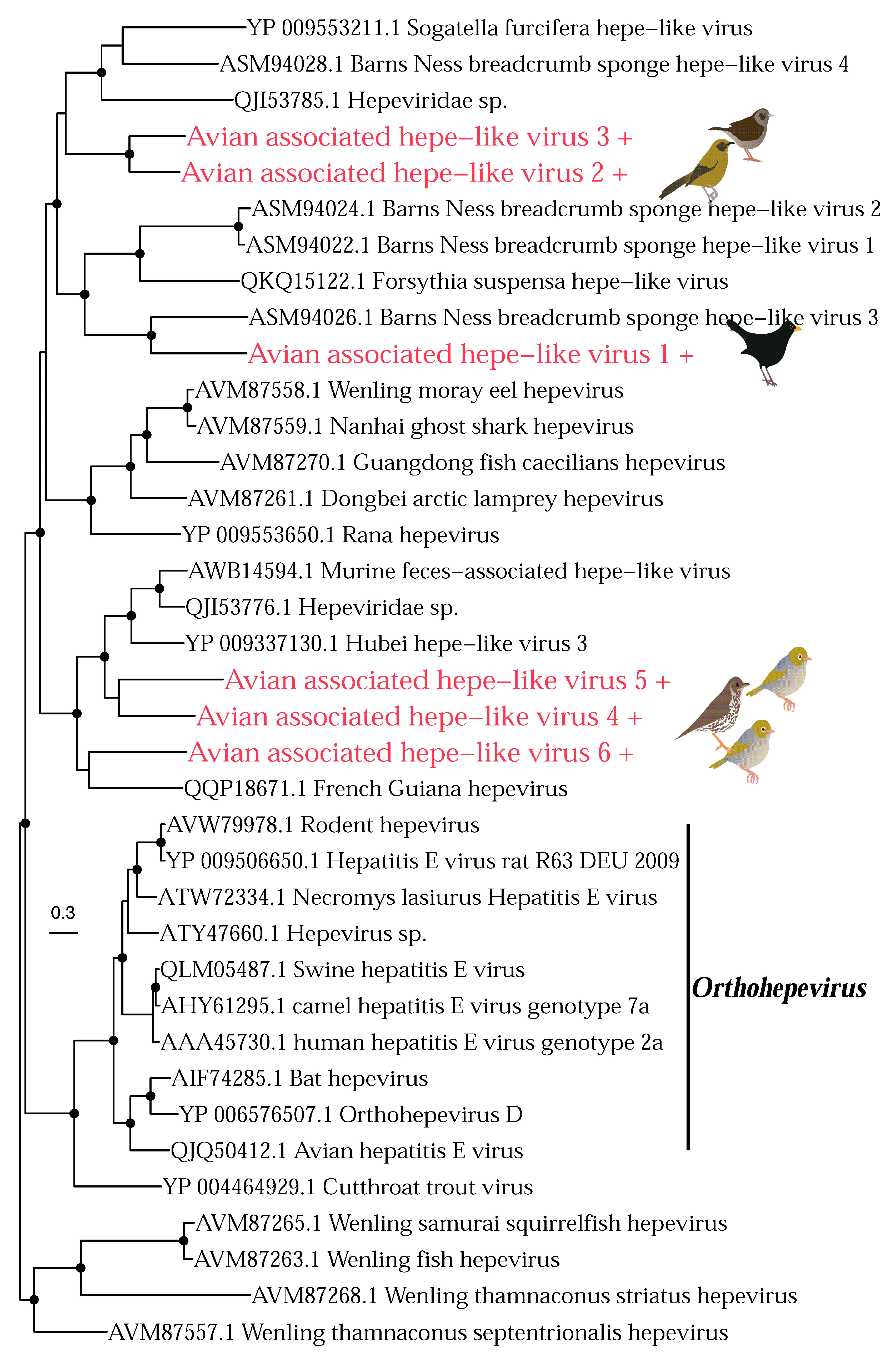 Viruses 14 01364 g009