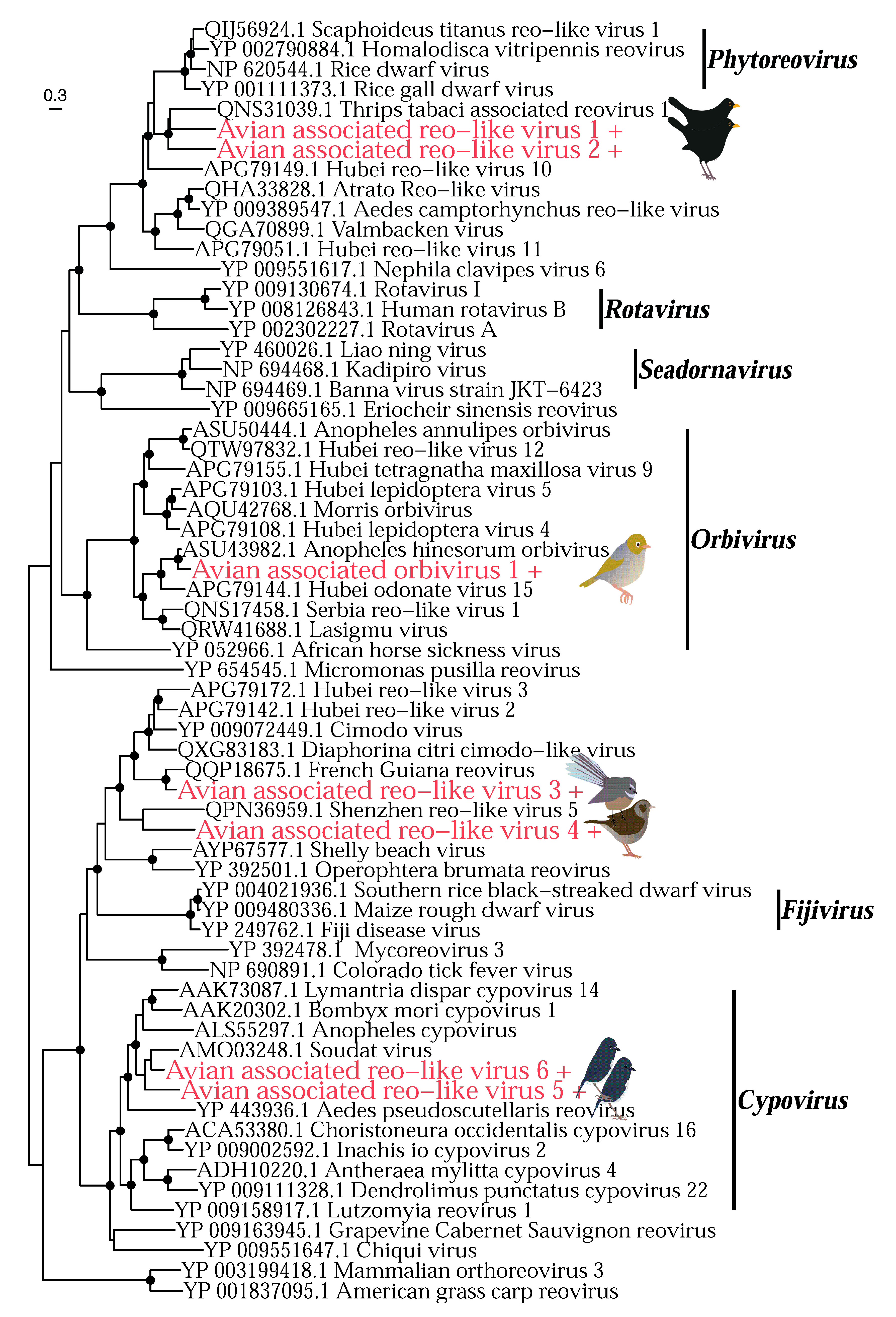 Viruses 14 01364 g011