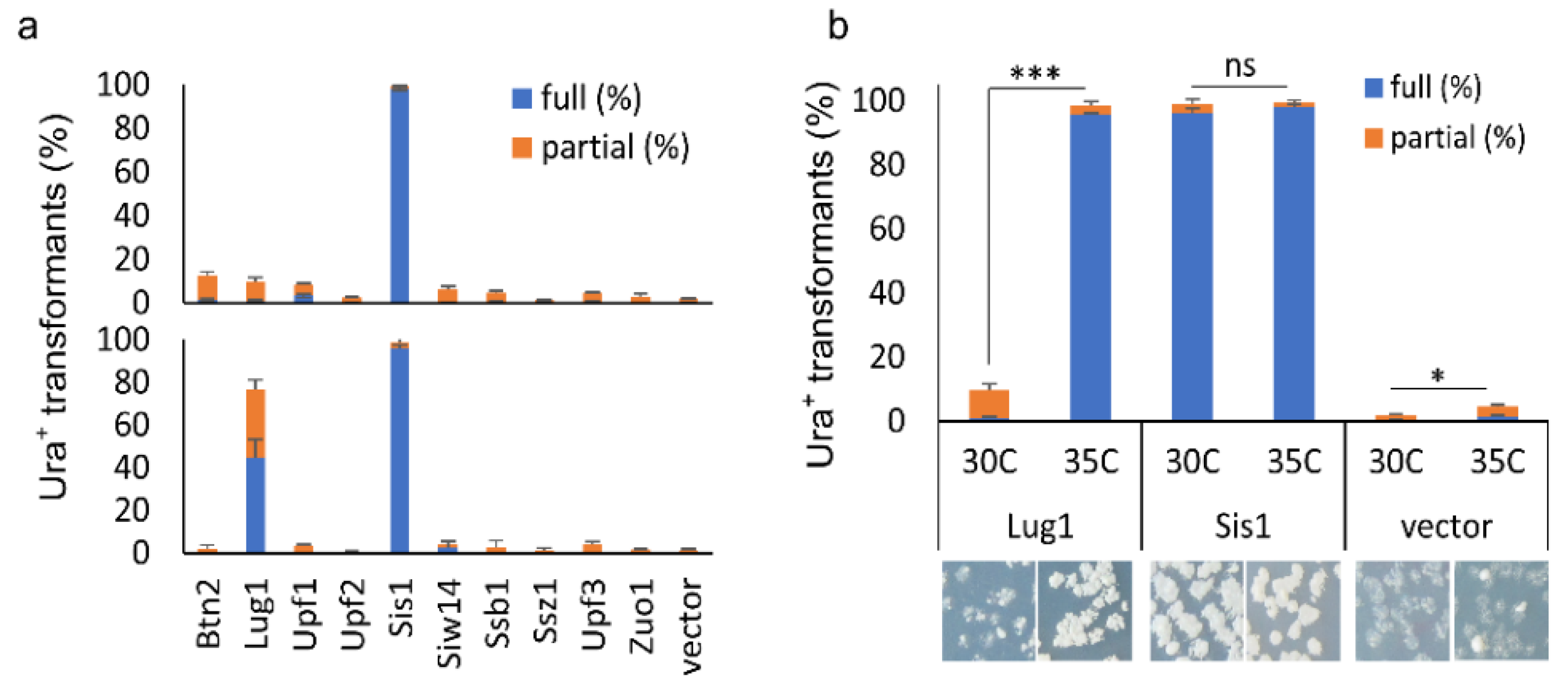 Viruses 14 01366 g004 Viruses 14 01366 g004