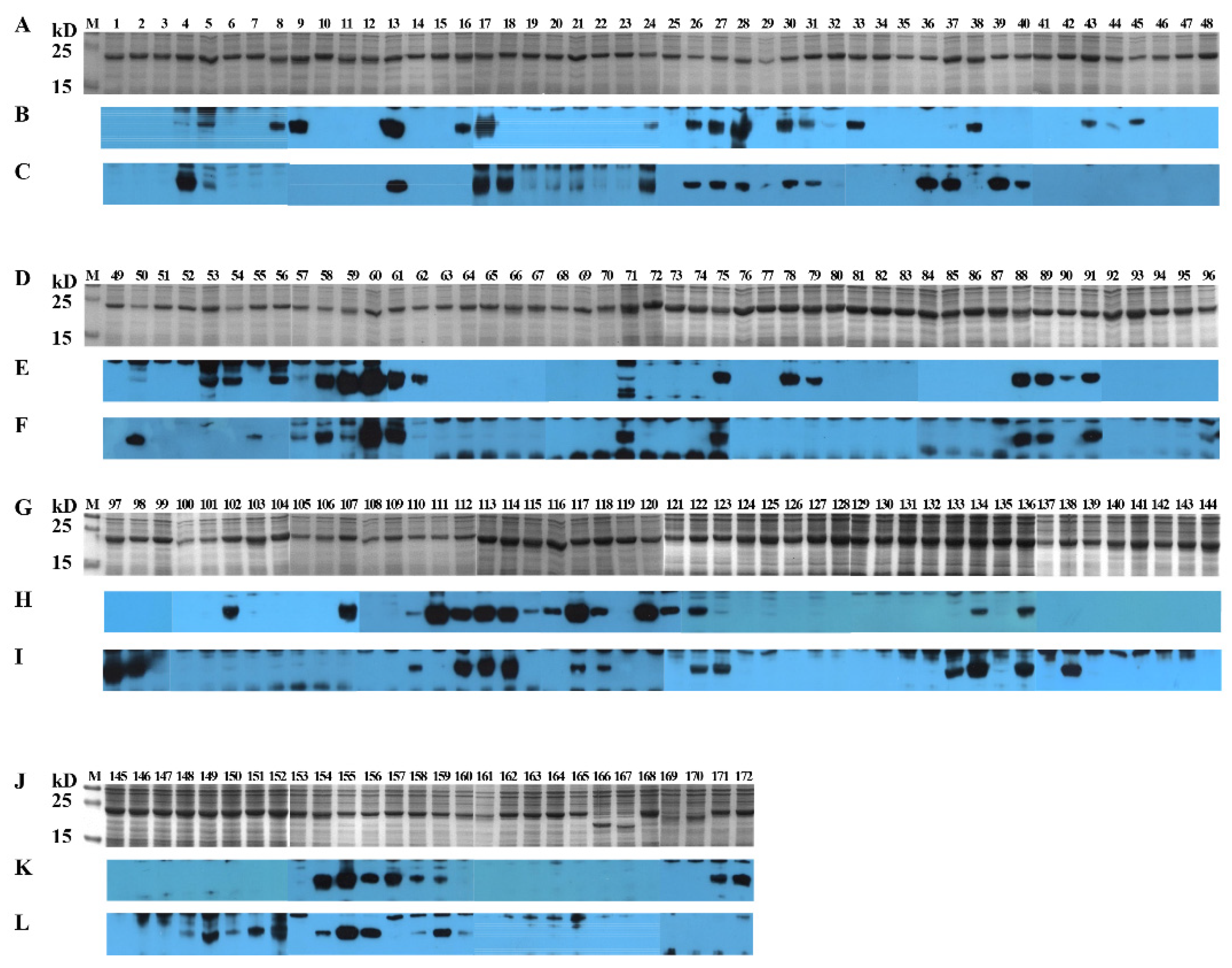 Viruses 14 01371 g005 550