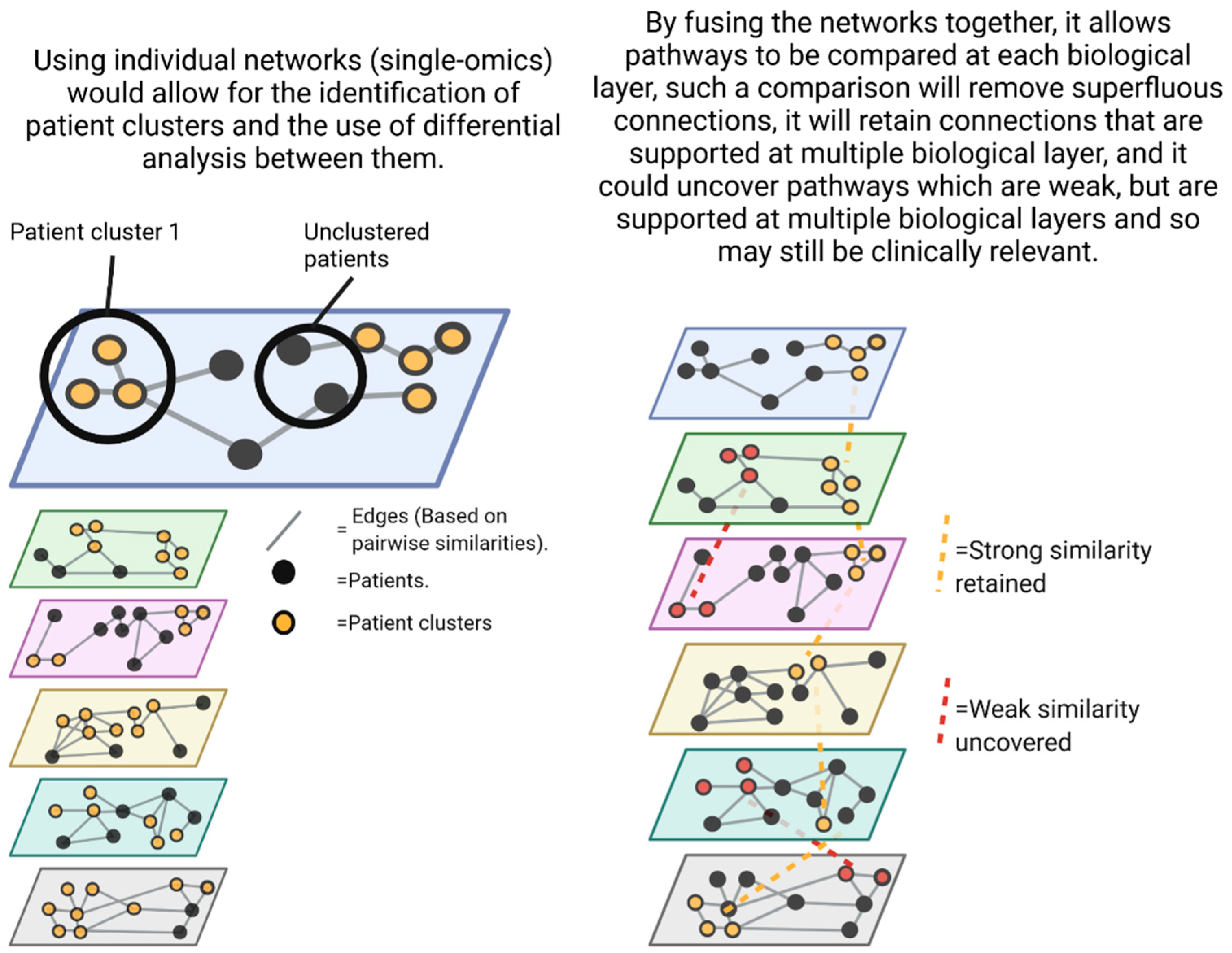 Viruses 14 01373 g002
