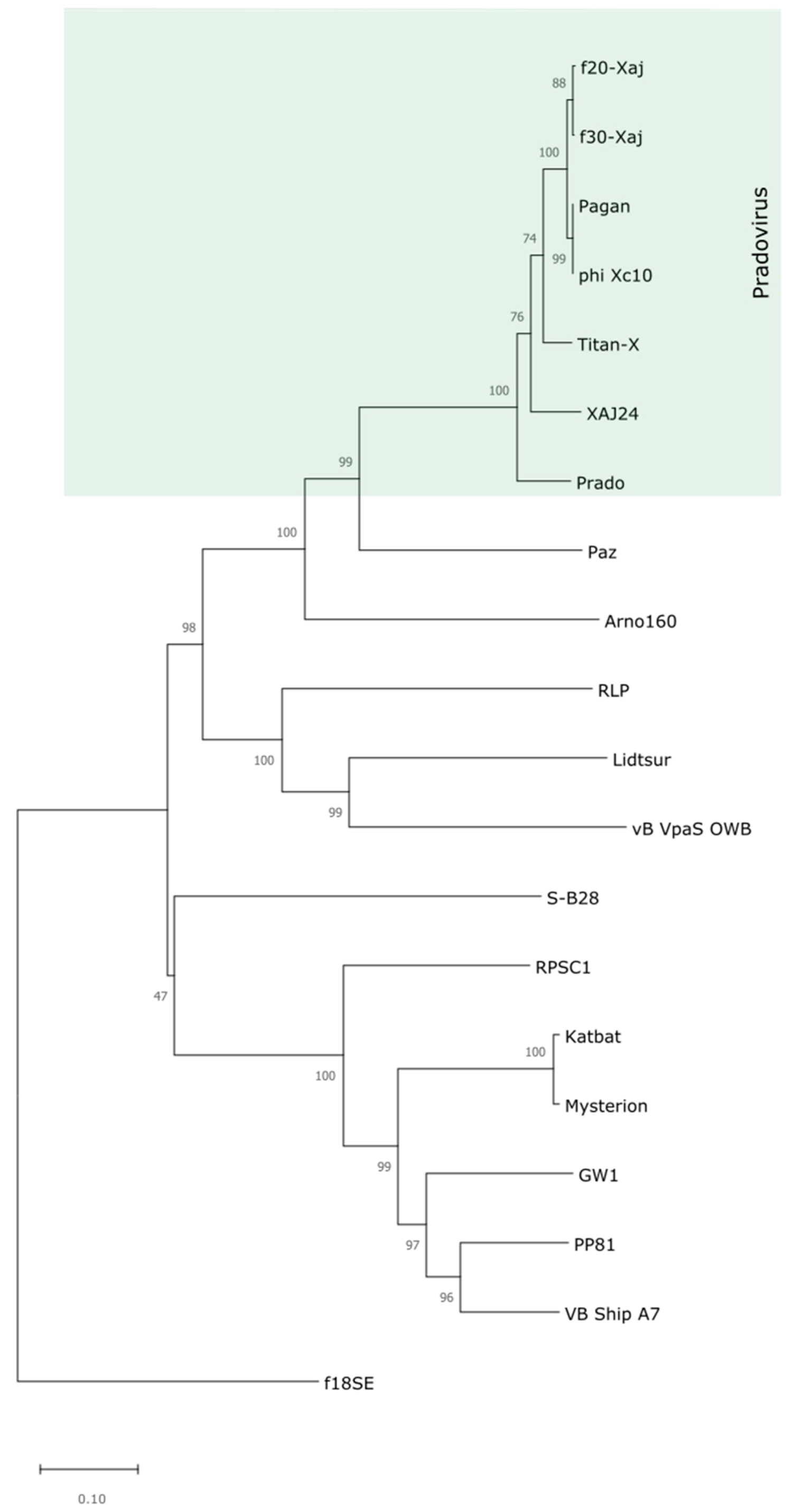 Viruses 14 01380 g003 Viruses 14 01380 g003