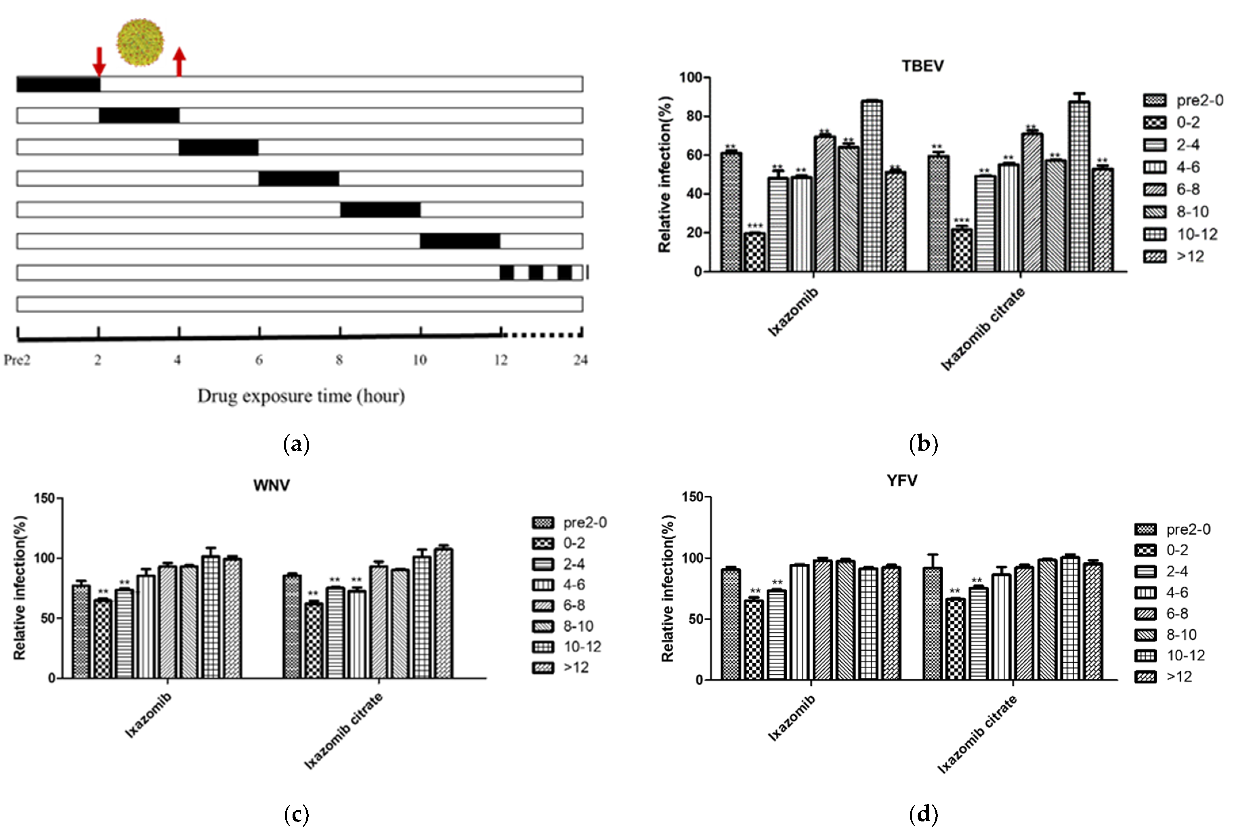 Viruses 14 01381 g004a Viruses 14 01381 g004a