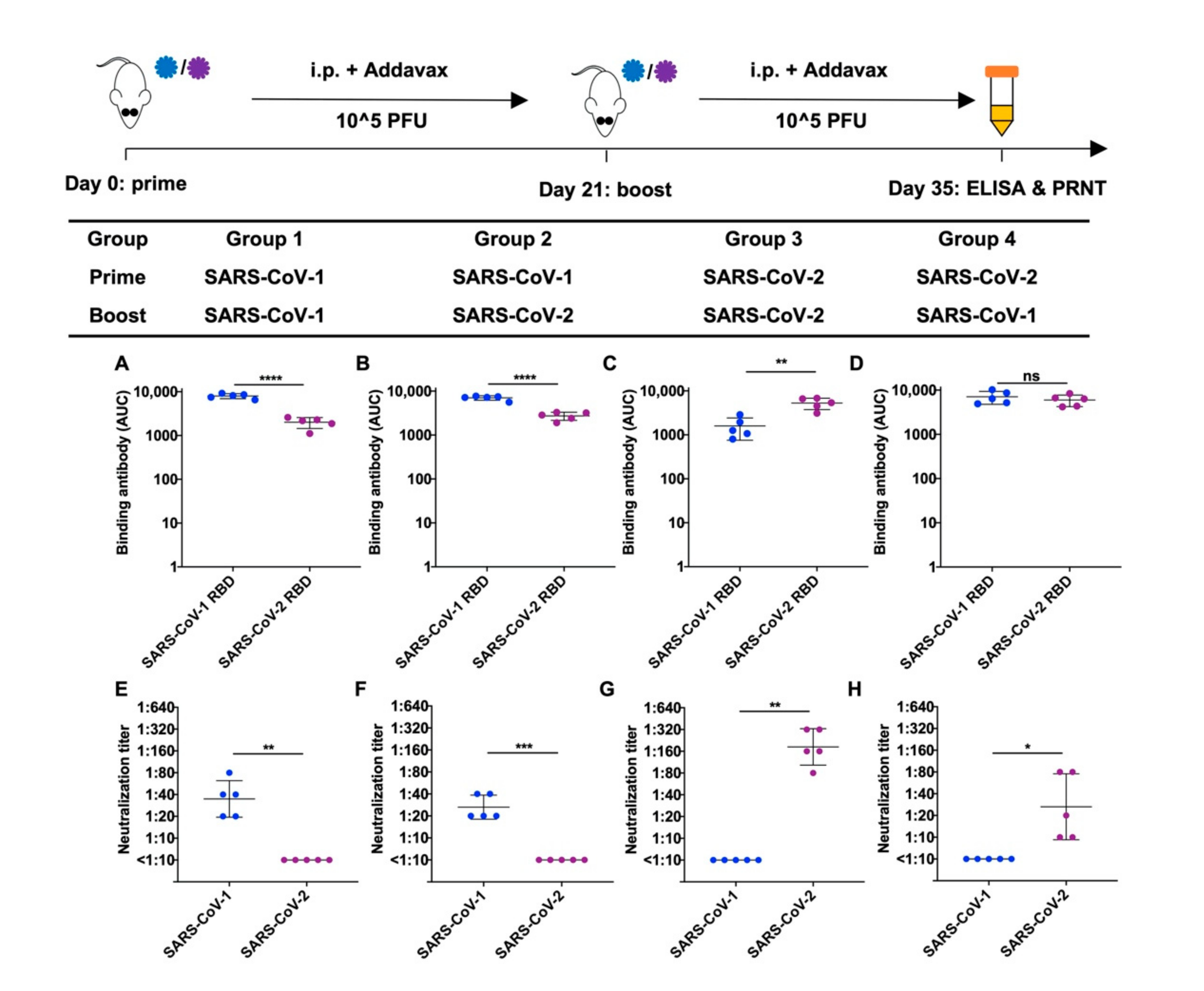 Viruses 14 01382 g001 550