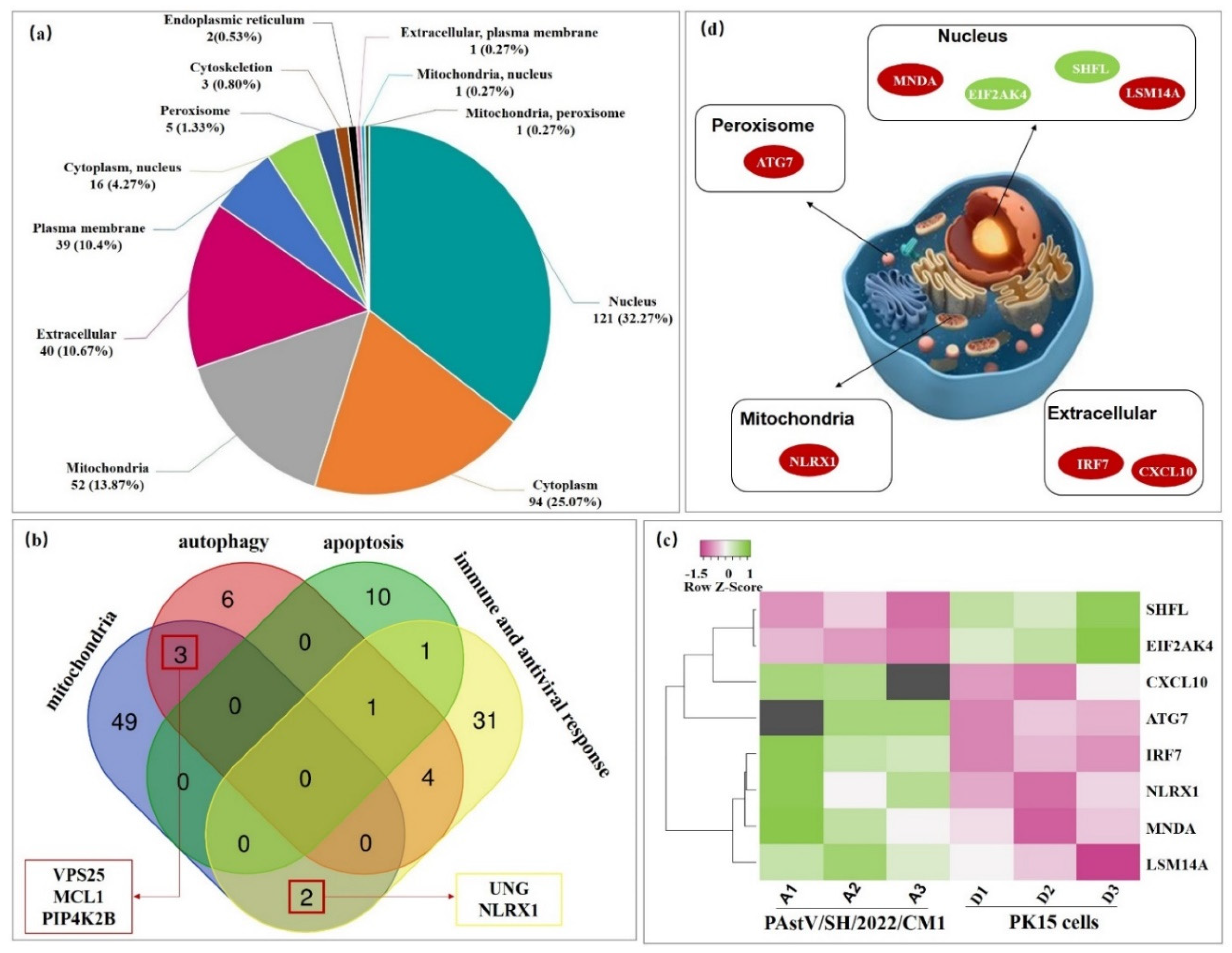 Viruses 14 01383 g005