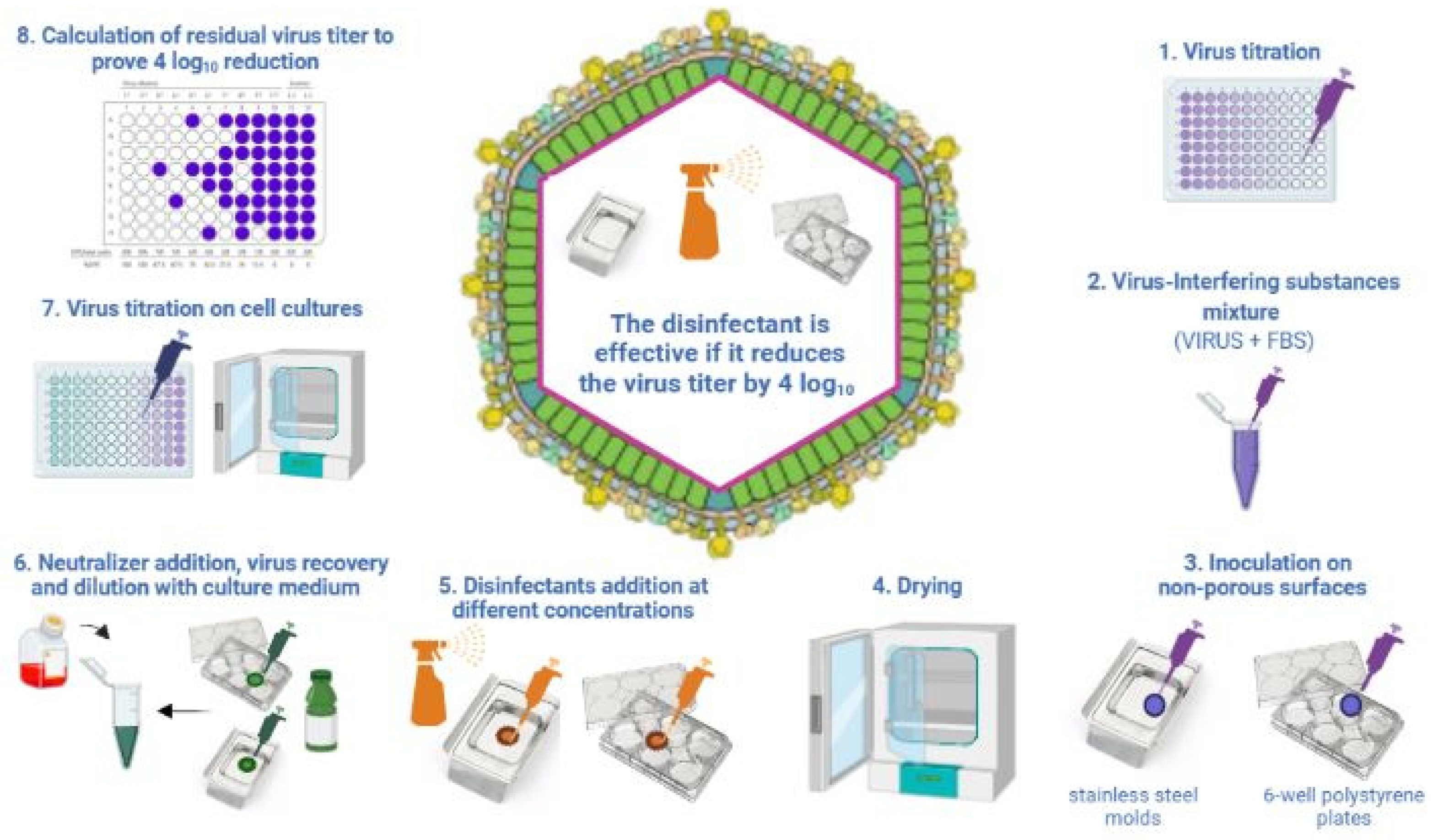 Viruses 14 01384 g002
