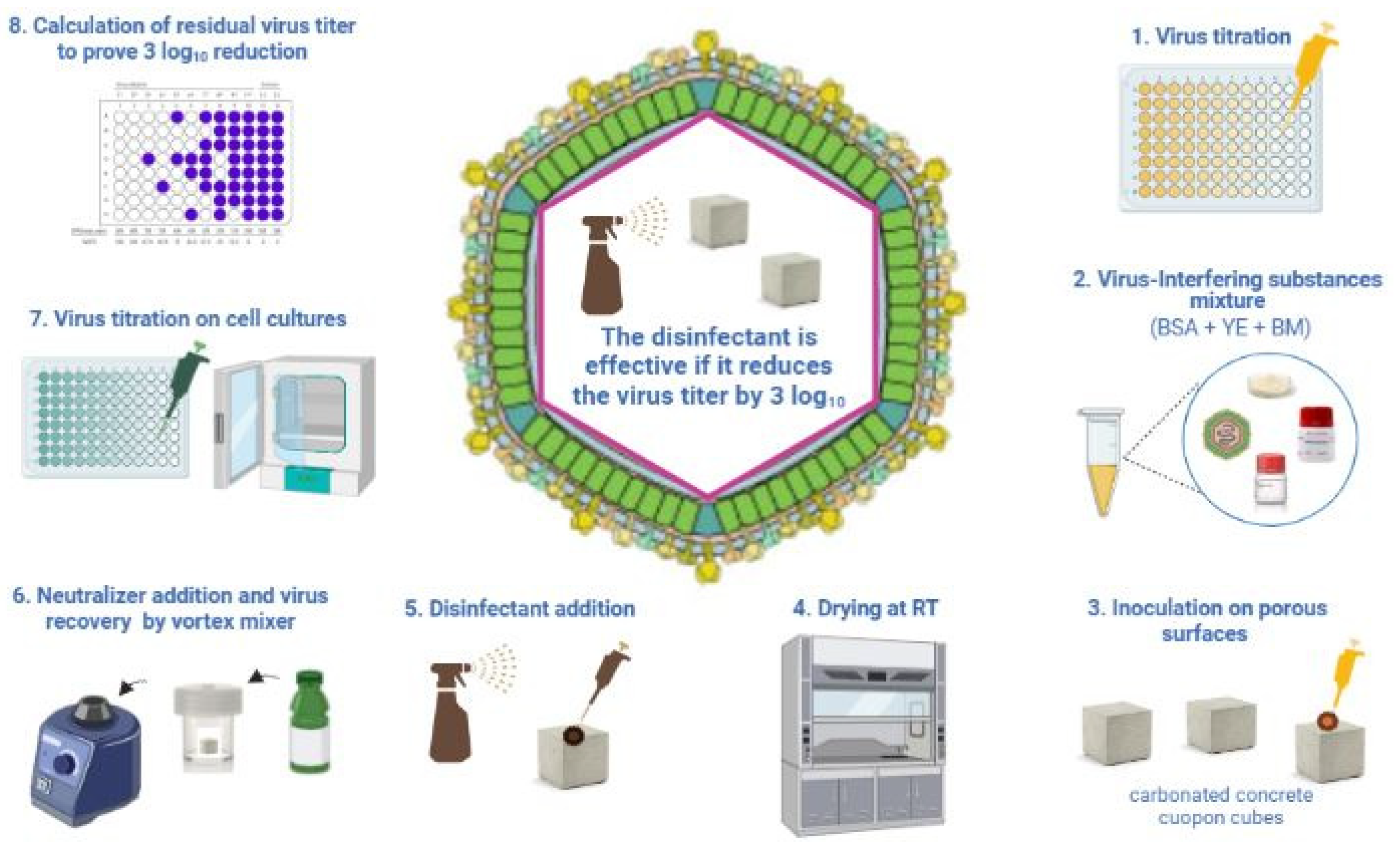 Viruses 14 01384 g003