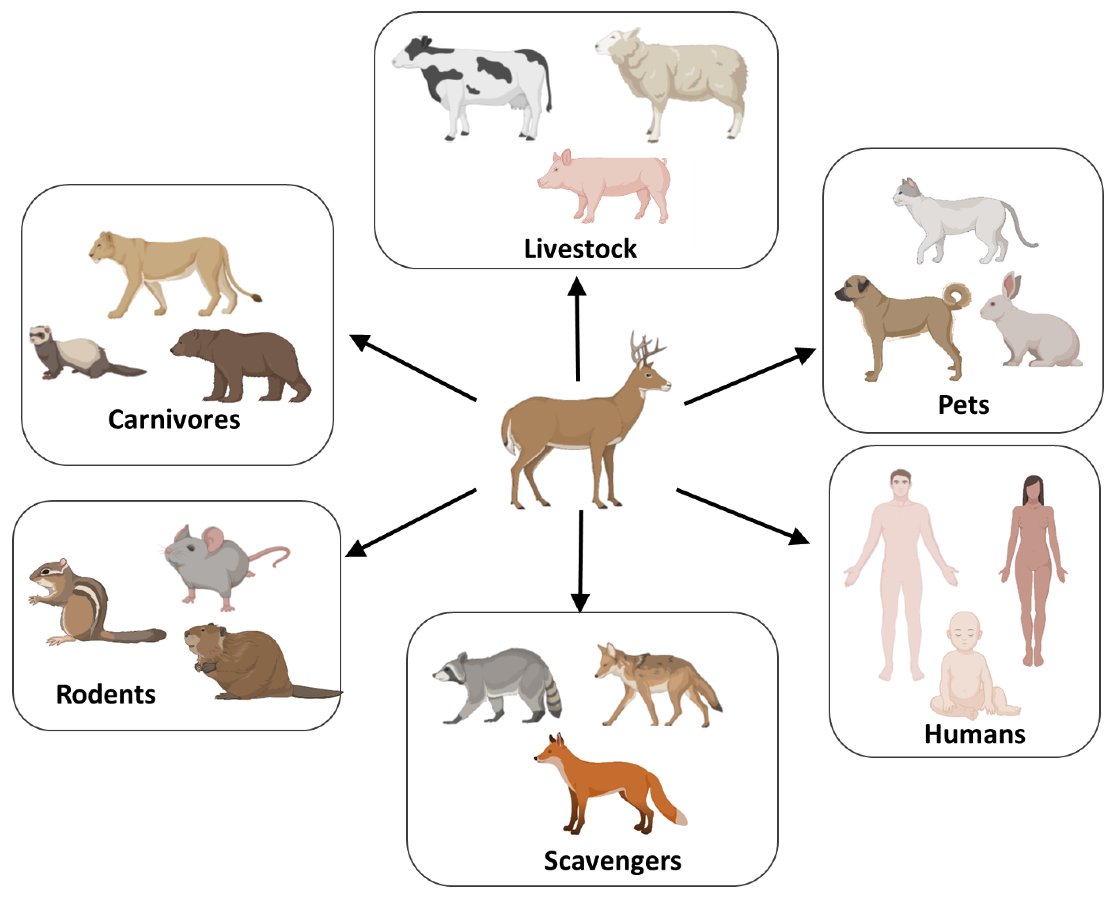 Viruses 14 01390 g002