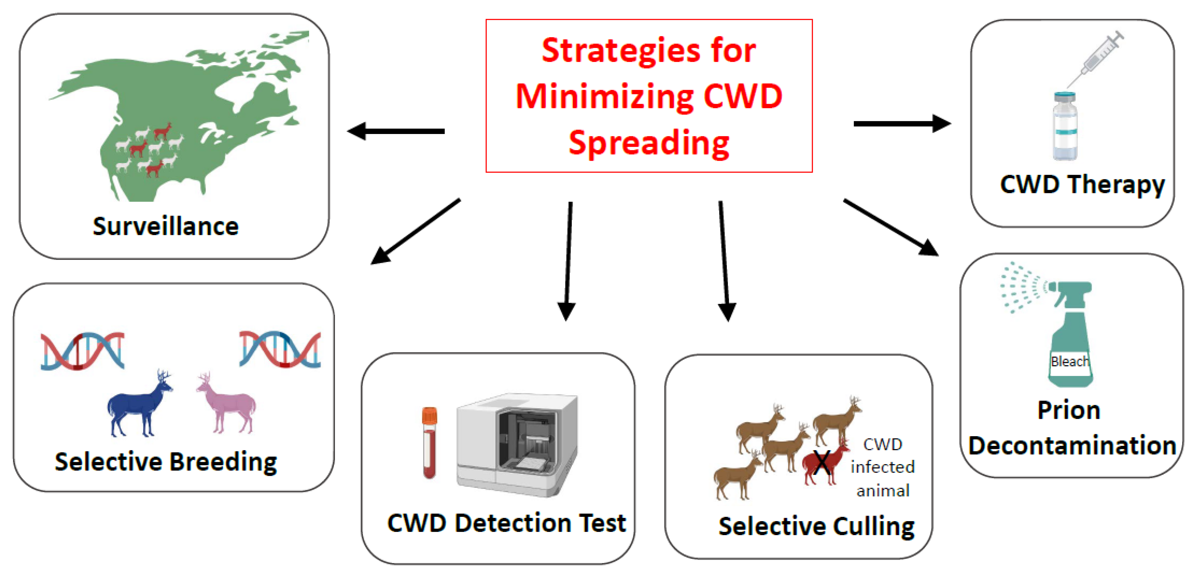 Viruses 14 01390 g003