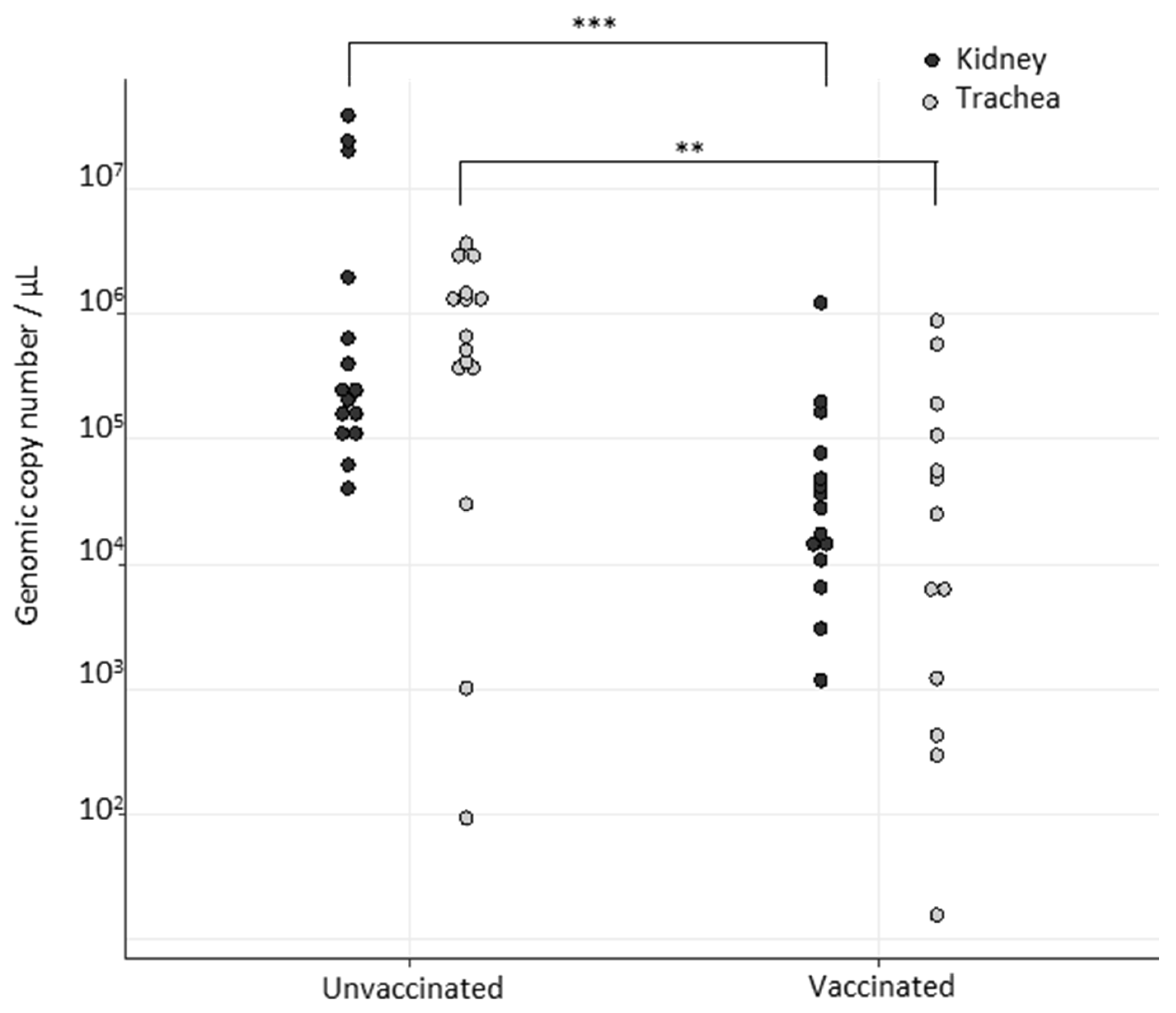 Viruses 14 01392 g001 550