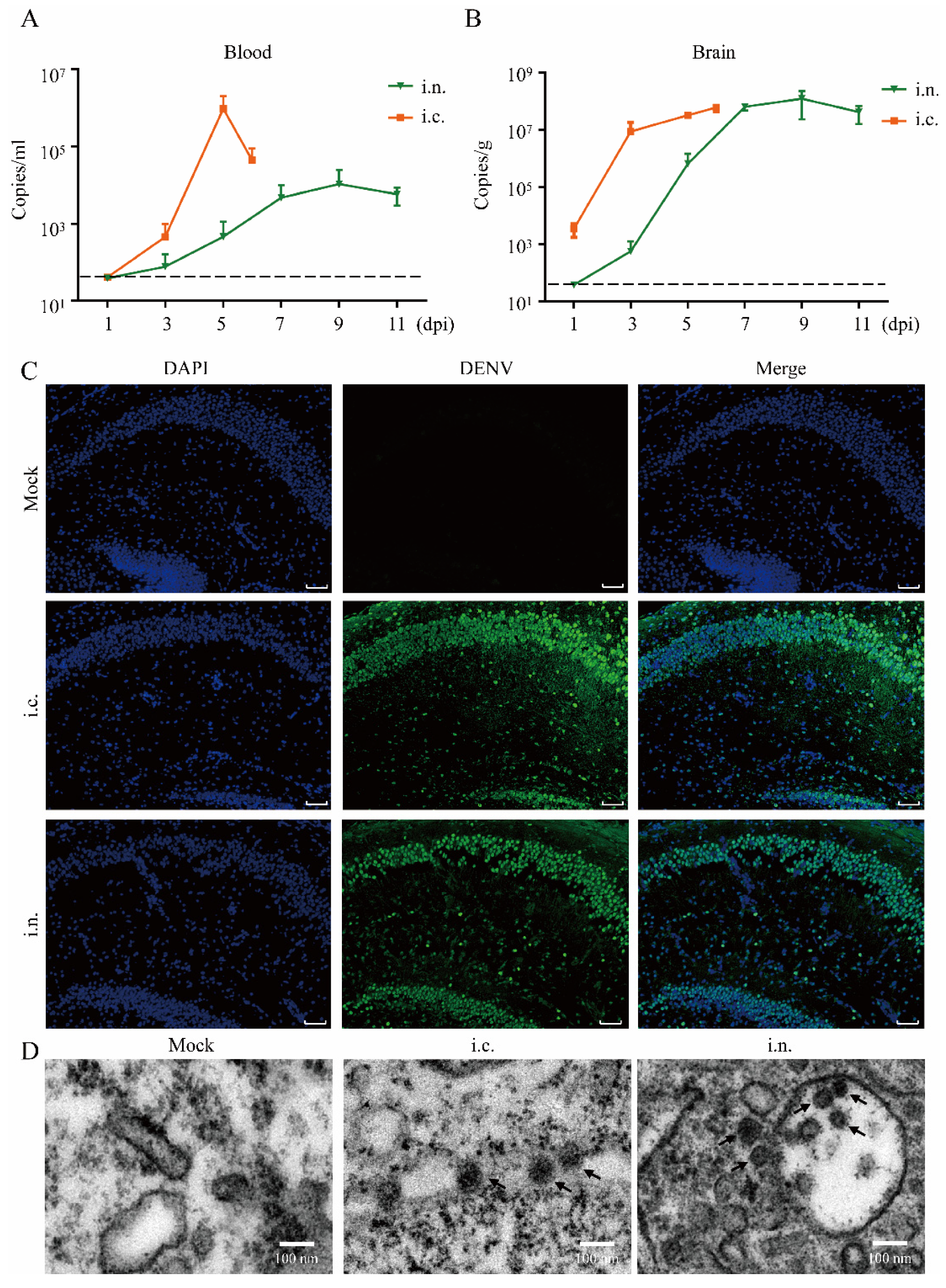 Viruses 14 01394 g002