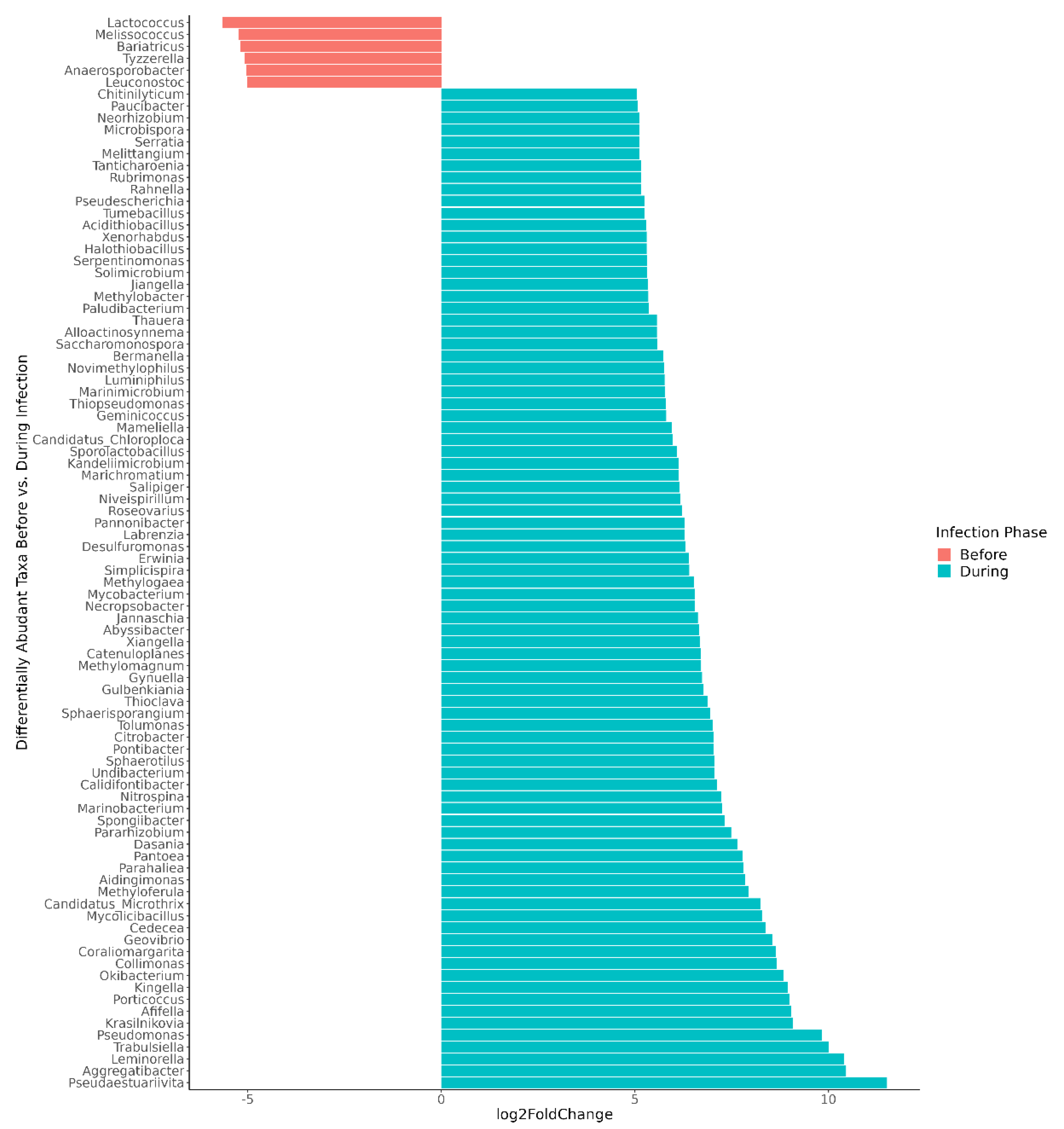 Viruses 14 01395 g004