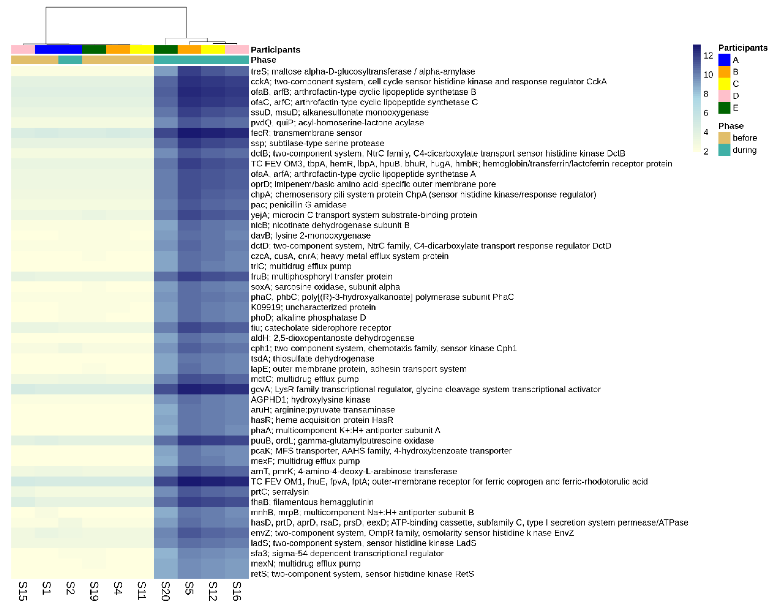 Viruses 14 01395 g005
