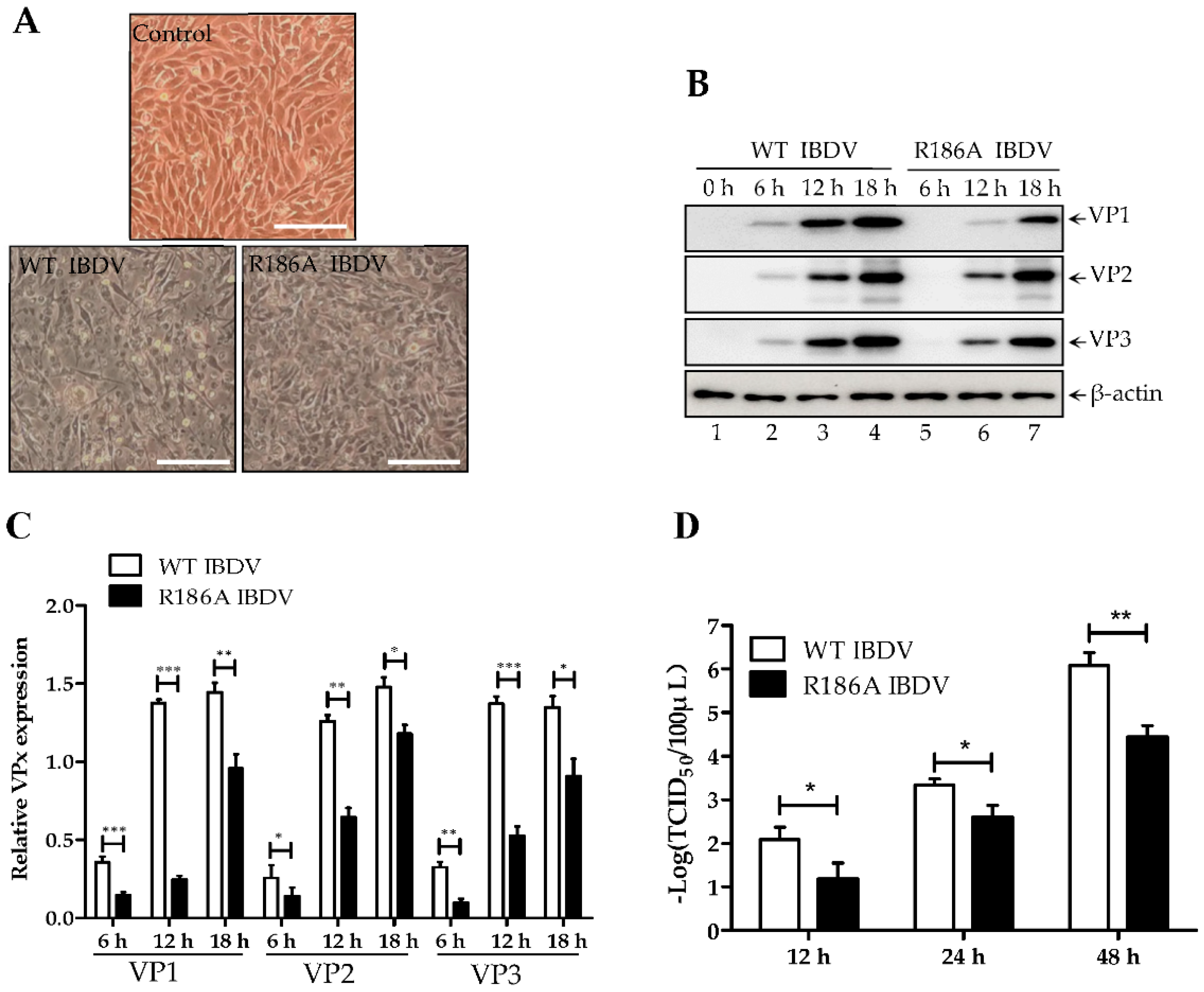 Viruses 14 01396 g005 Viruses 14 01396 g005