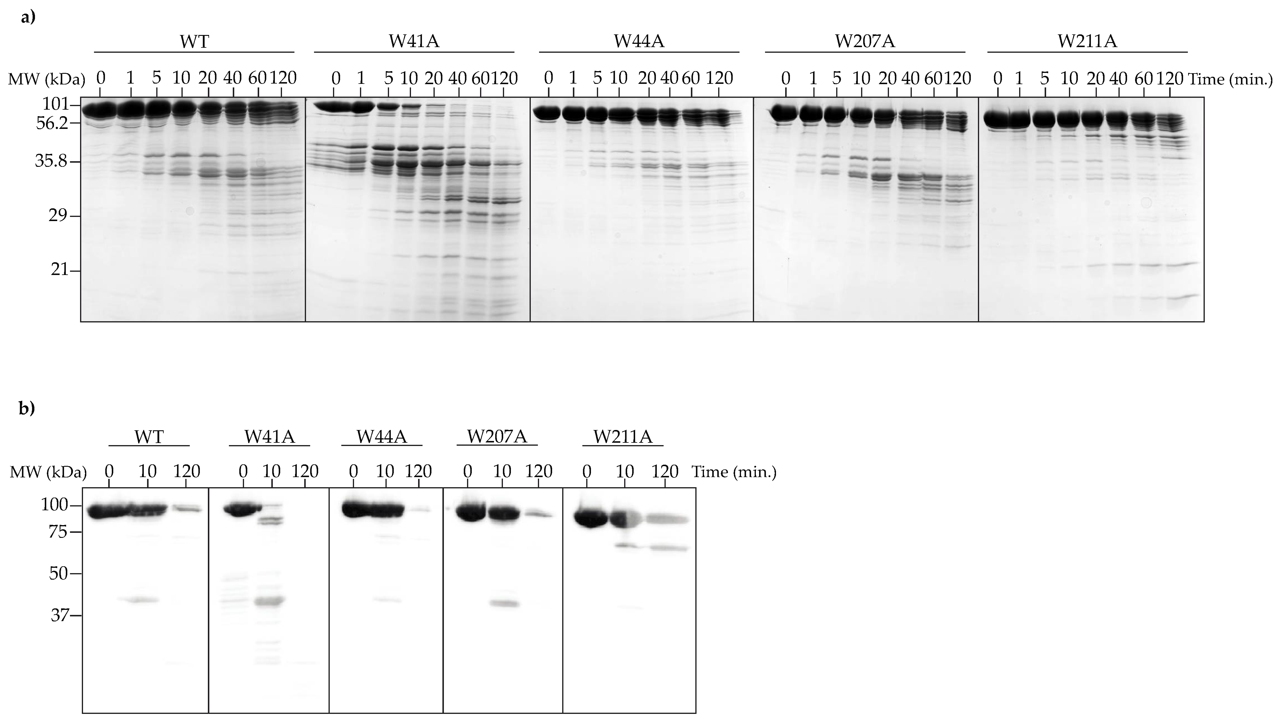 Viruses 14 01400 g006 Viruses 14 01400 g006