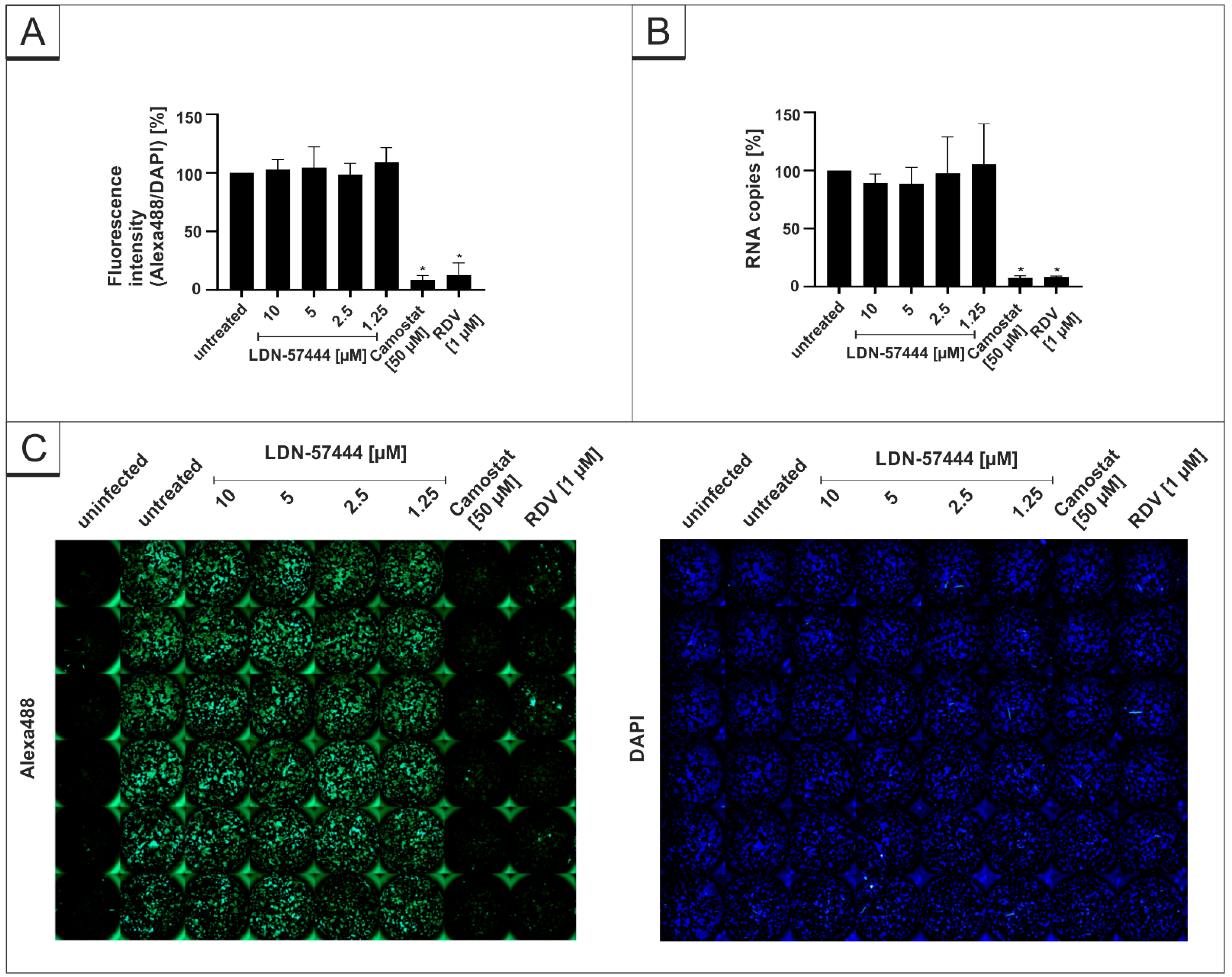 Viruses 14 01404 g005