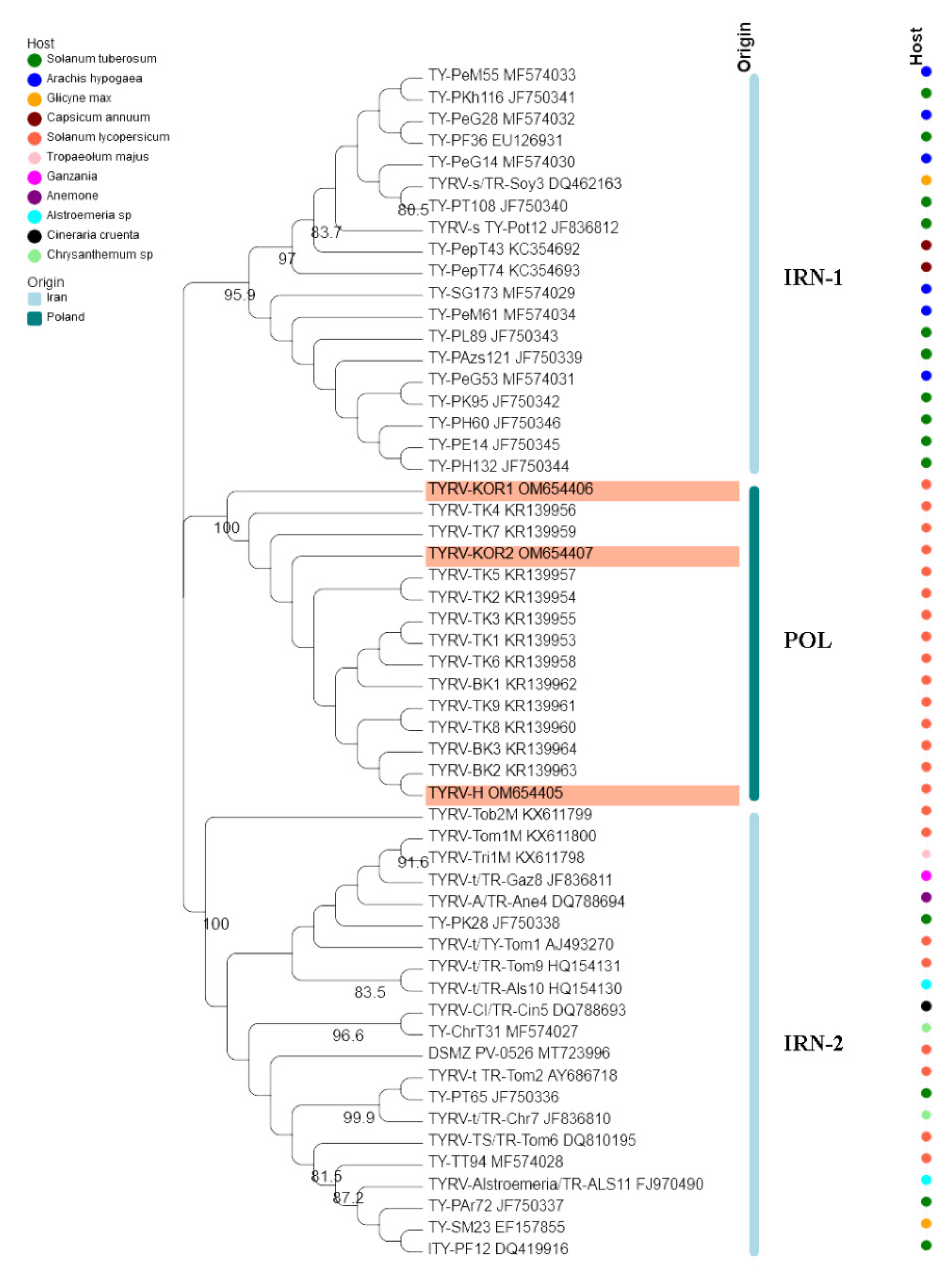 Viruses 14 01405 g003