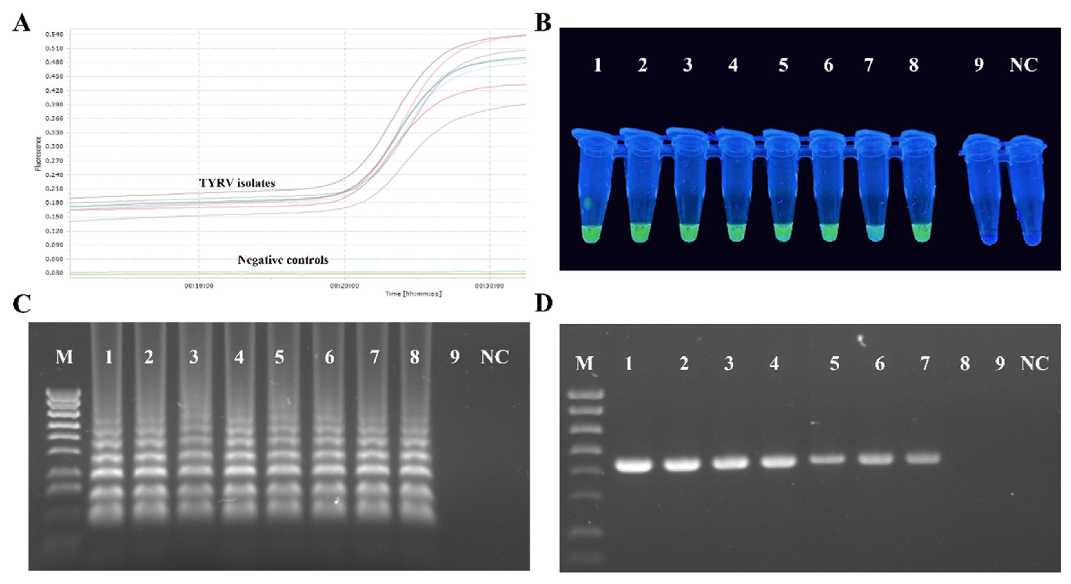 Viruses 14 01405 g004