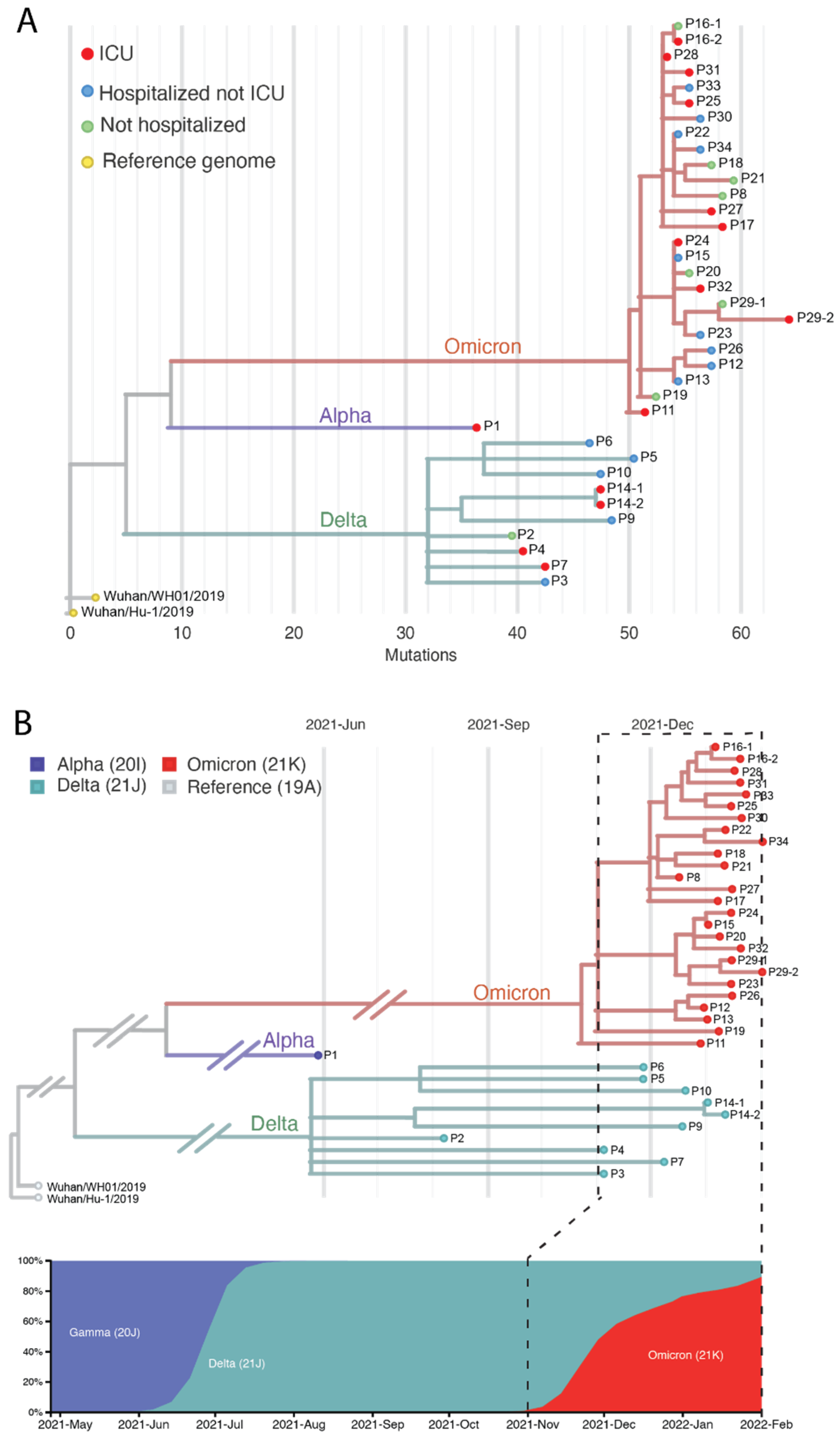 Viruses 14 01408 g002 550