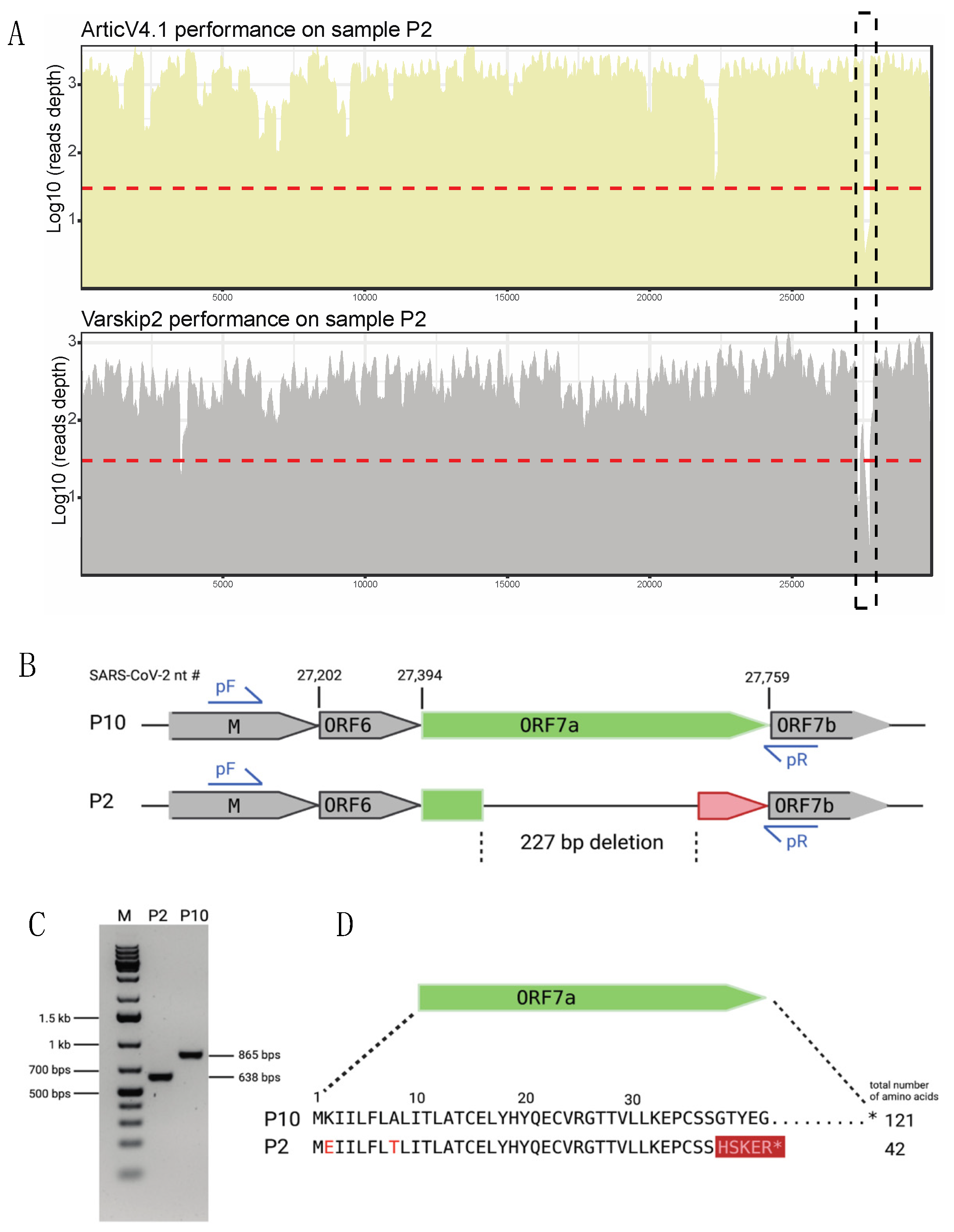 Viruses 14 01408 g004 550