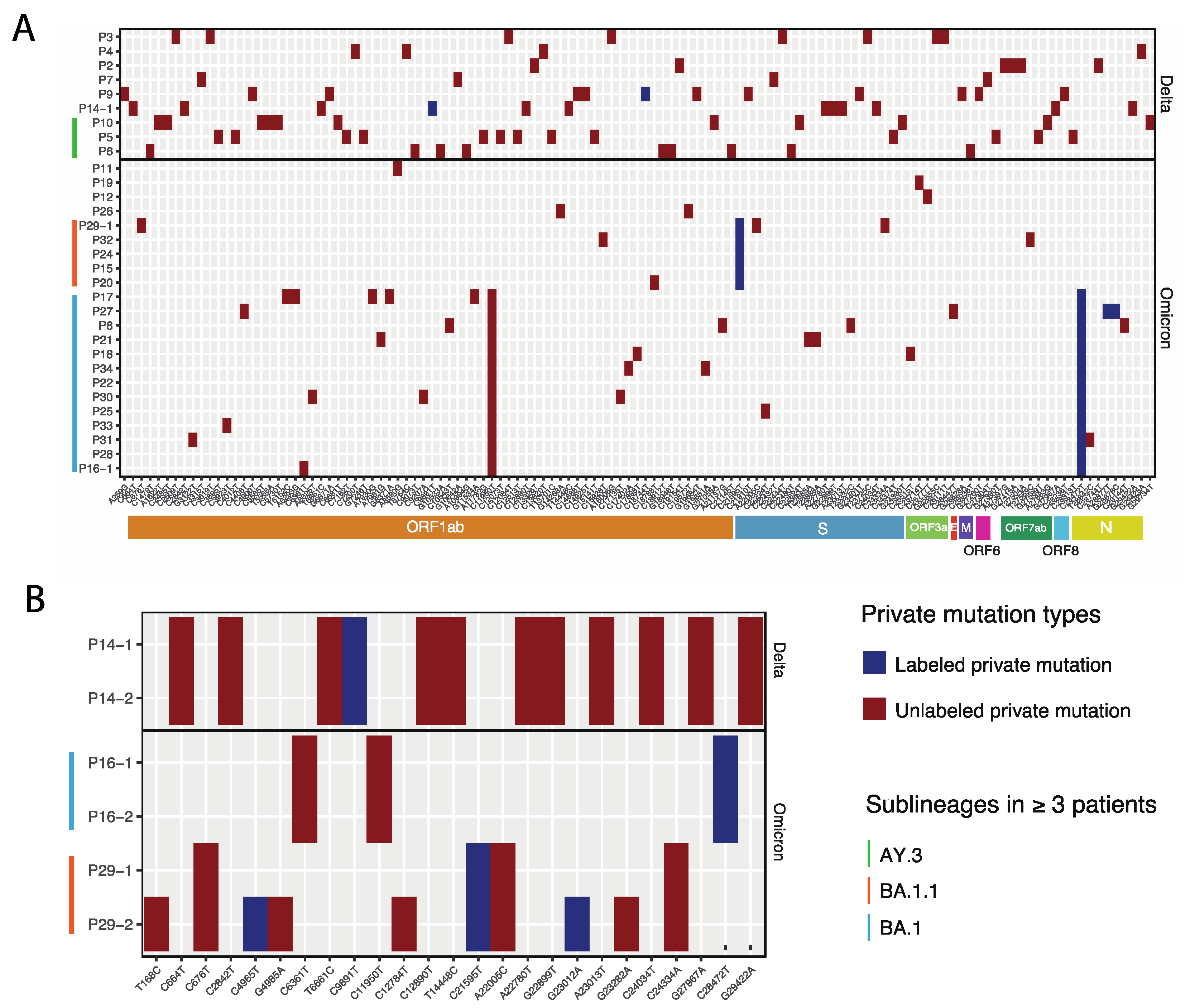 Viruses 14 01408 g005 550