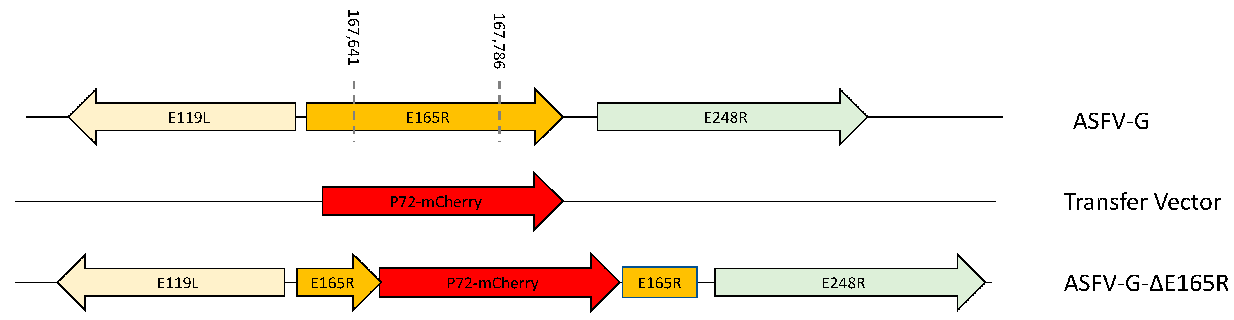 Viruses 14 01409 g002