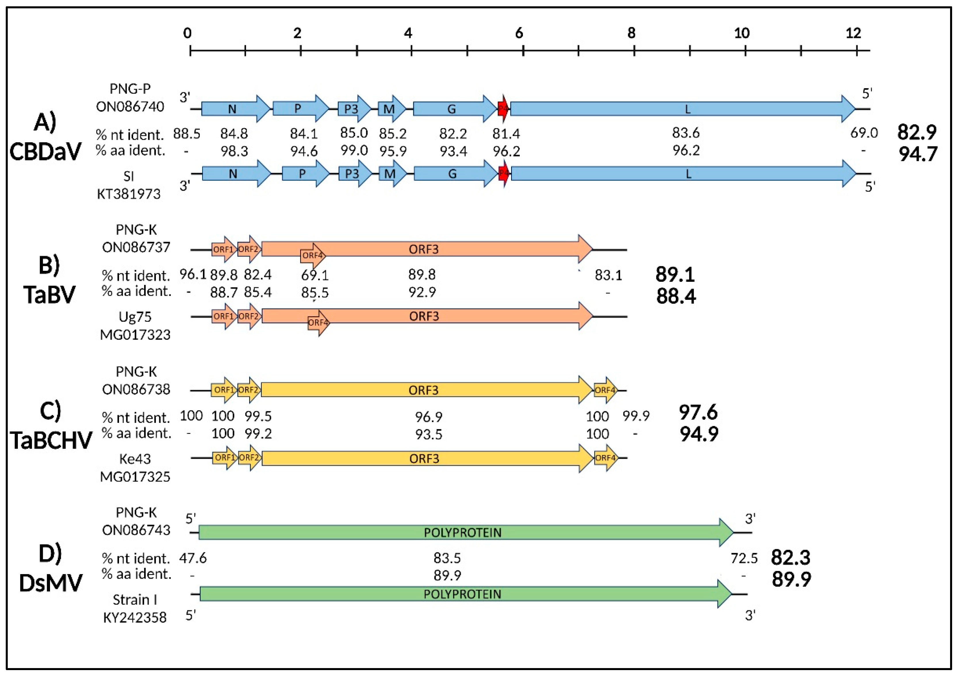 Viruses 14 01410 g002 550