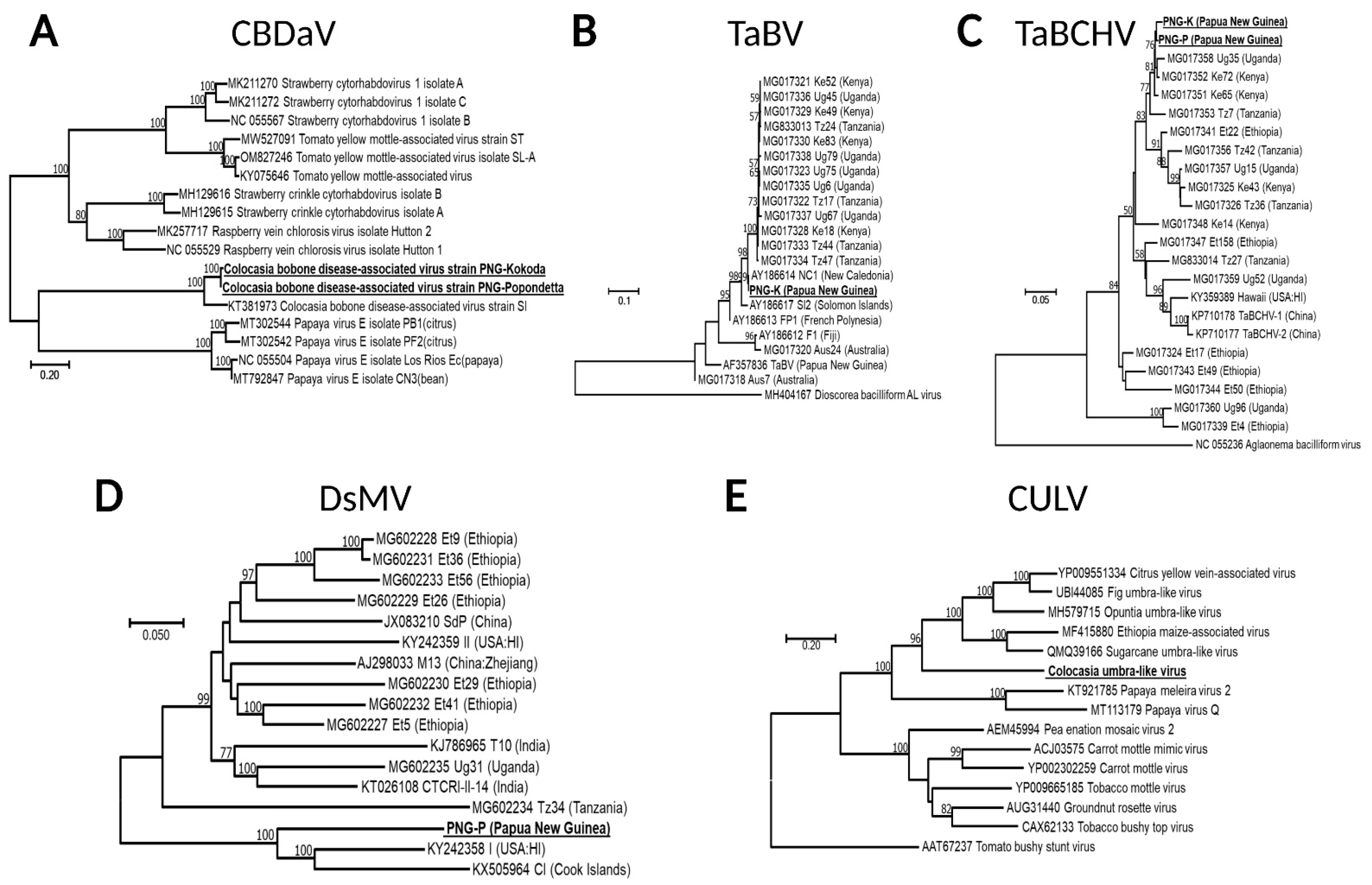 Viruses 14 01410 g003 550