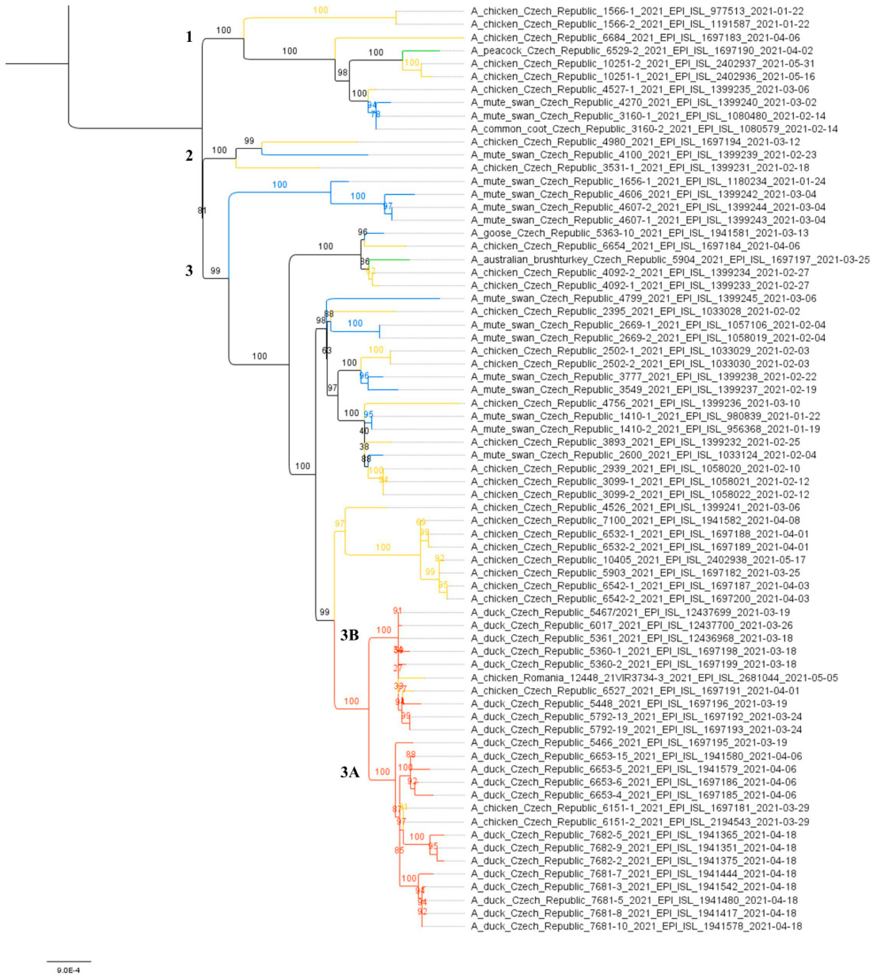 Viruses 14 01411 g002 Viruses 14 01411 g002