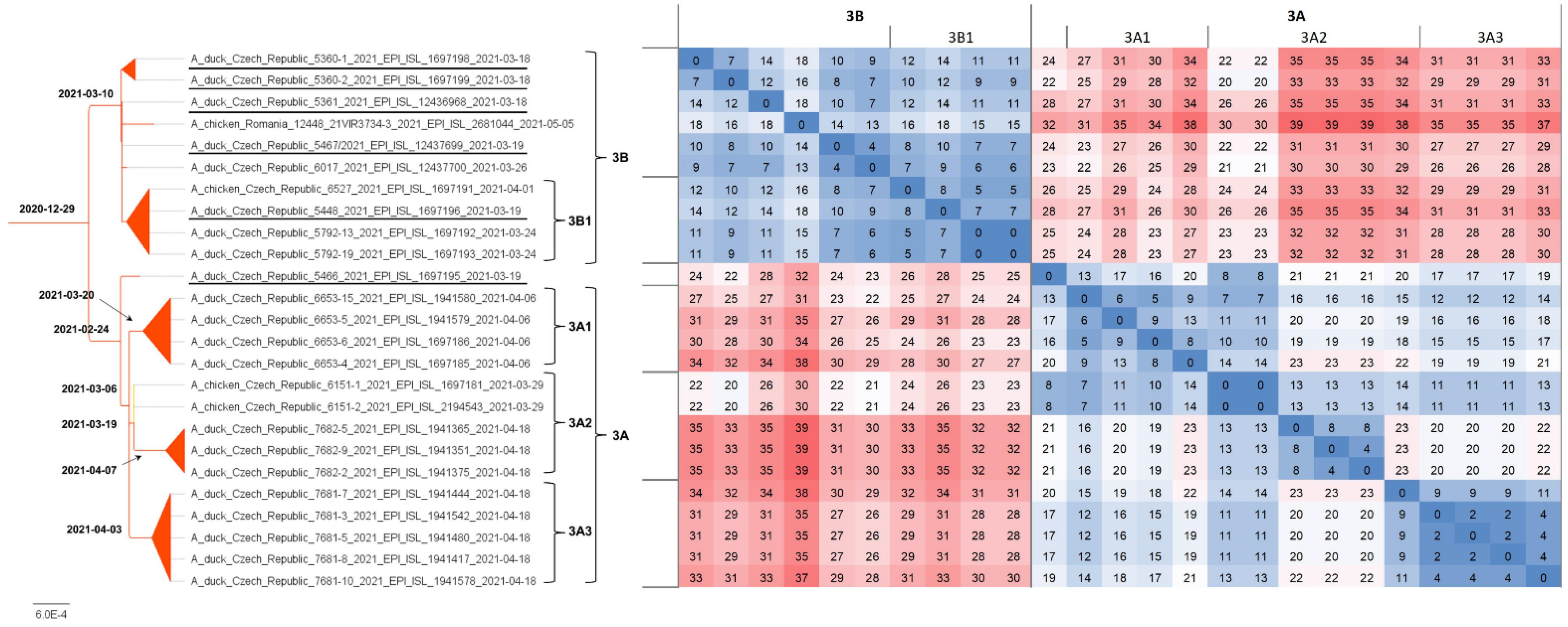 Viruses 14 01411 g003 Viruses 14 01411 g003
