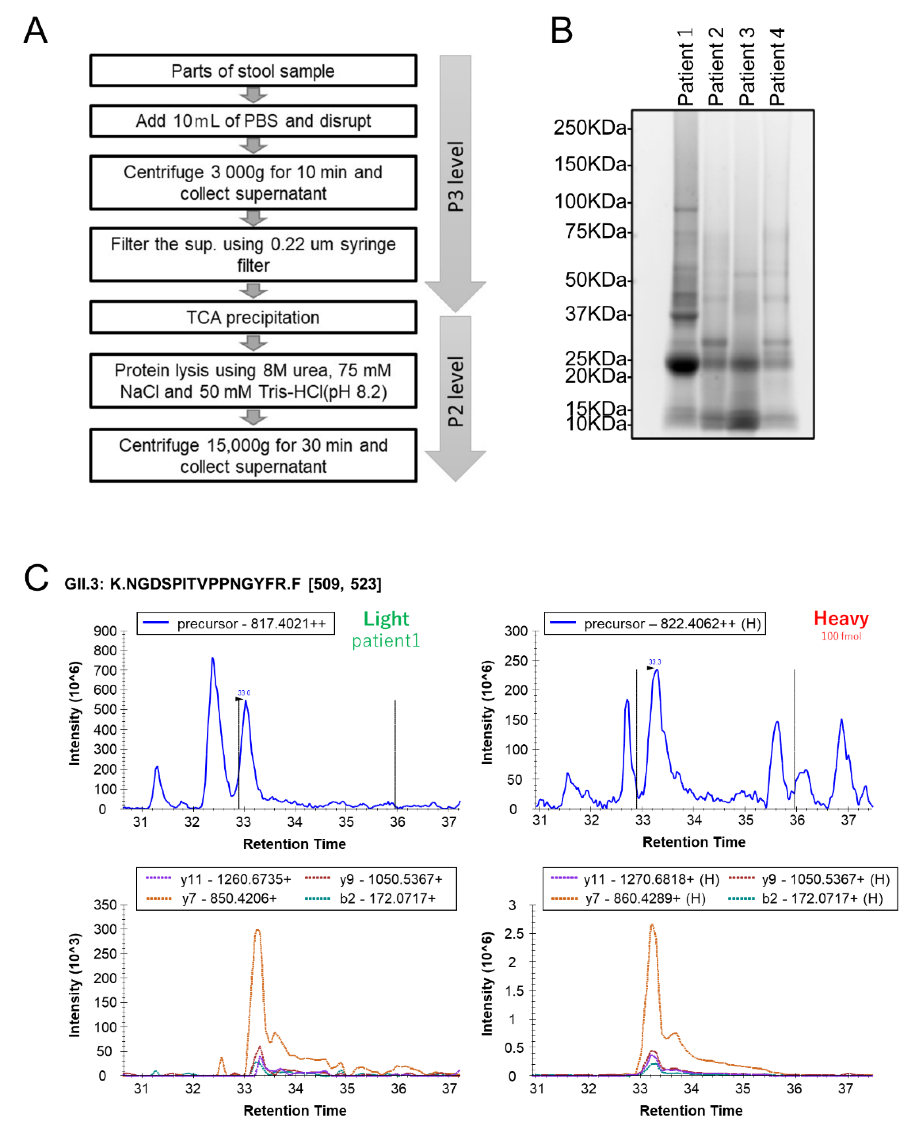 Viruses 14 01416 g002