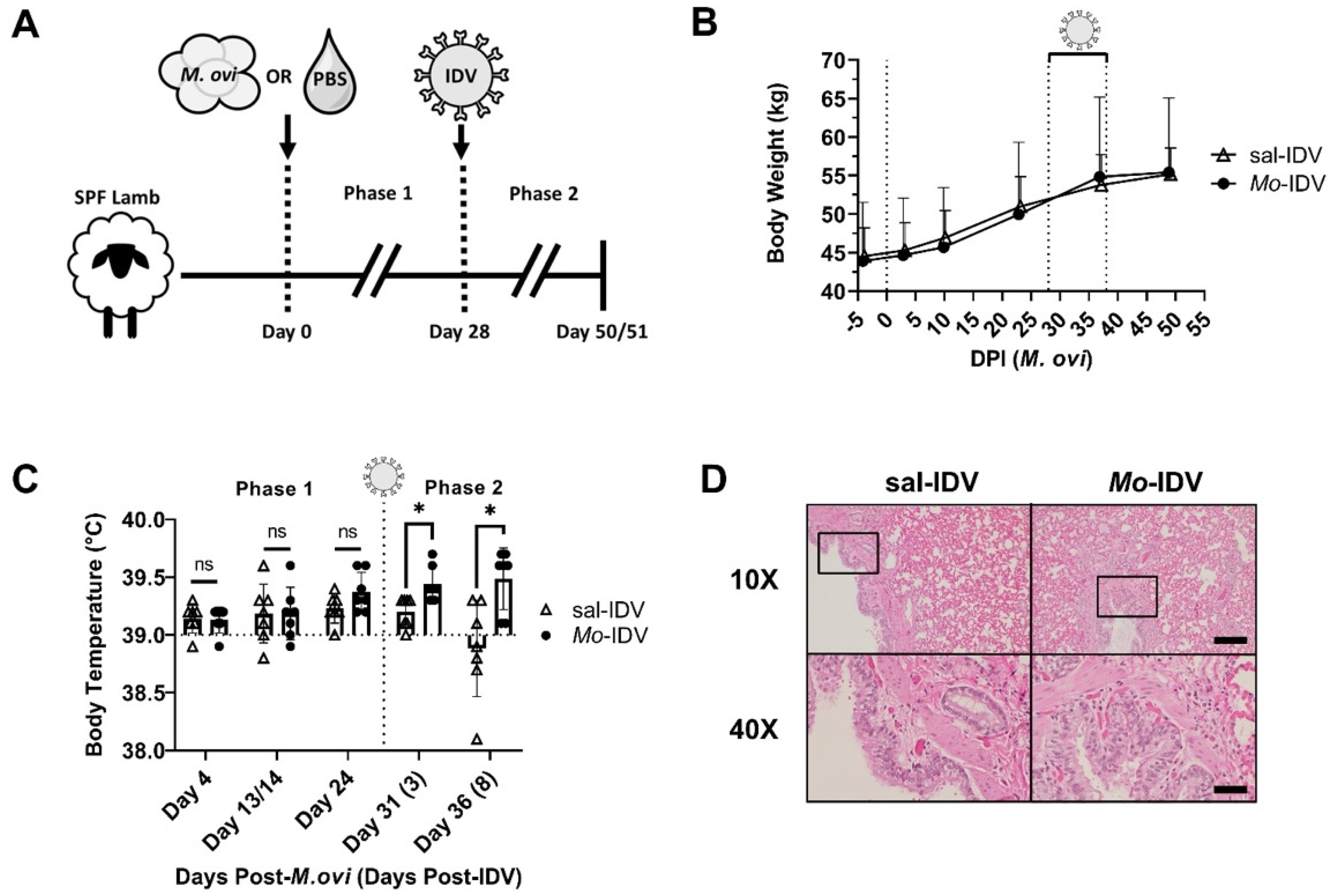 Viruses 14 01422 g001