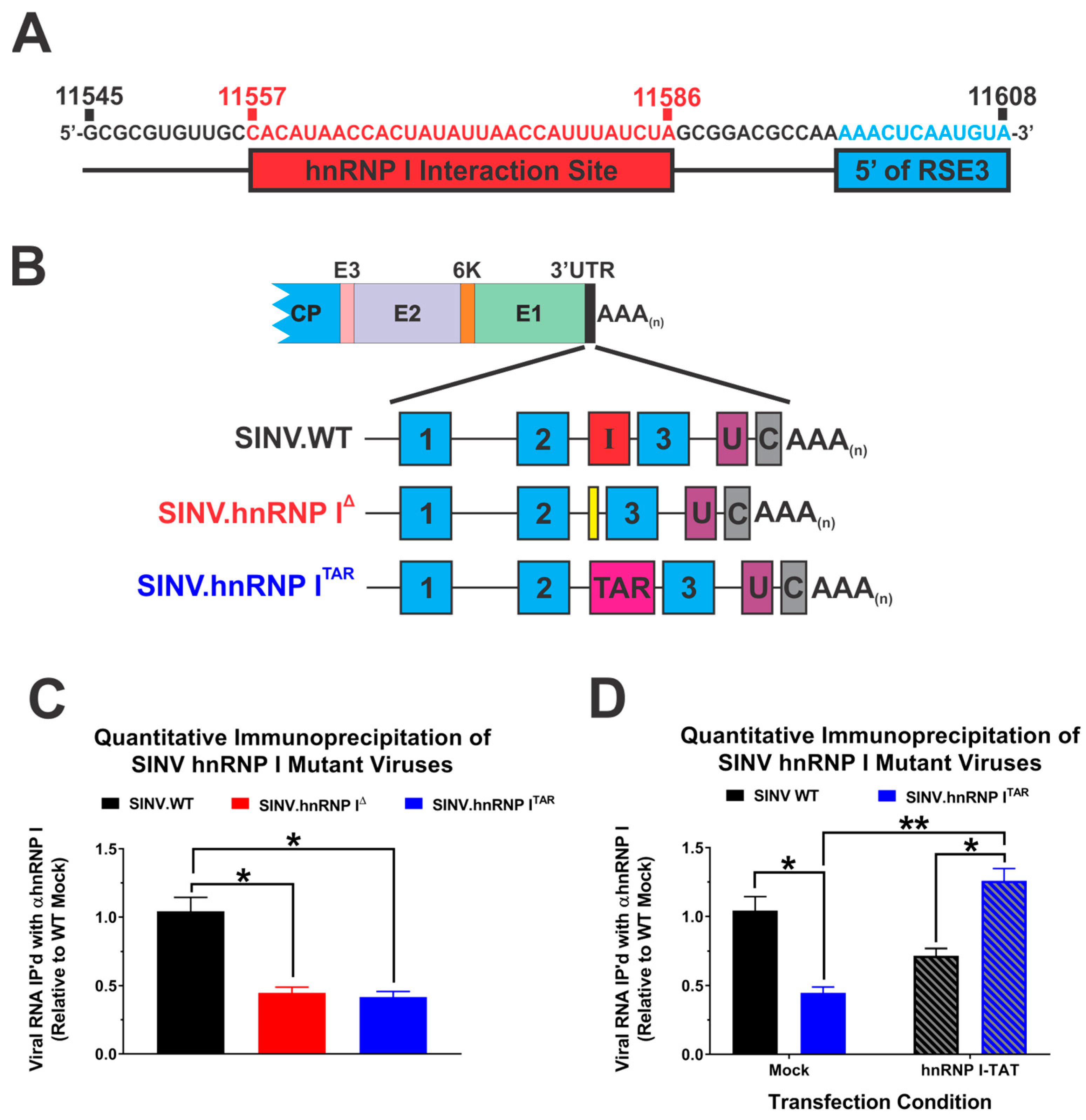 Viruses 14 01423 g001