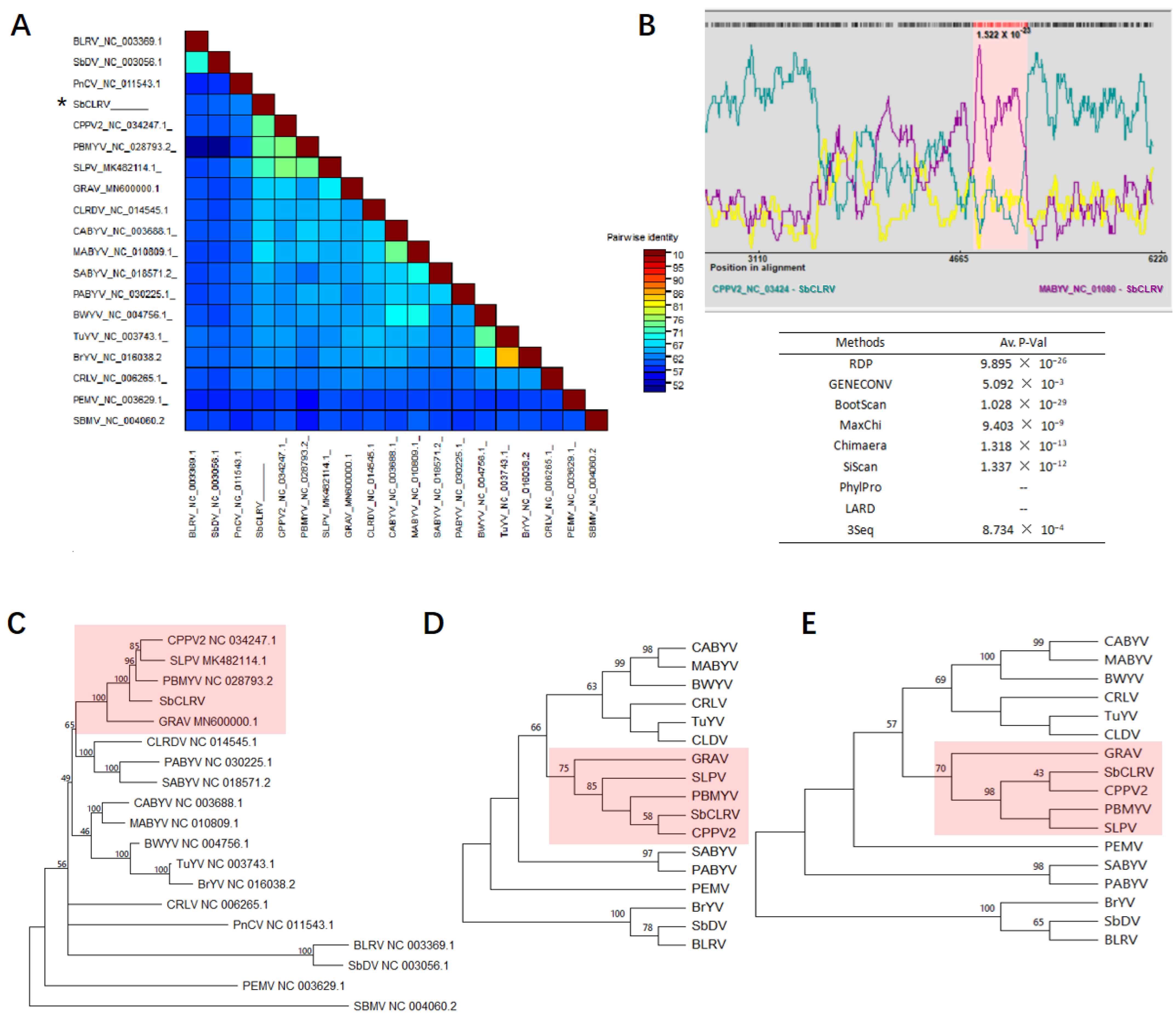 Viruses 14 01428 g002 Viruses 14 01428 g002