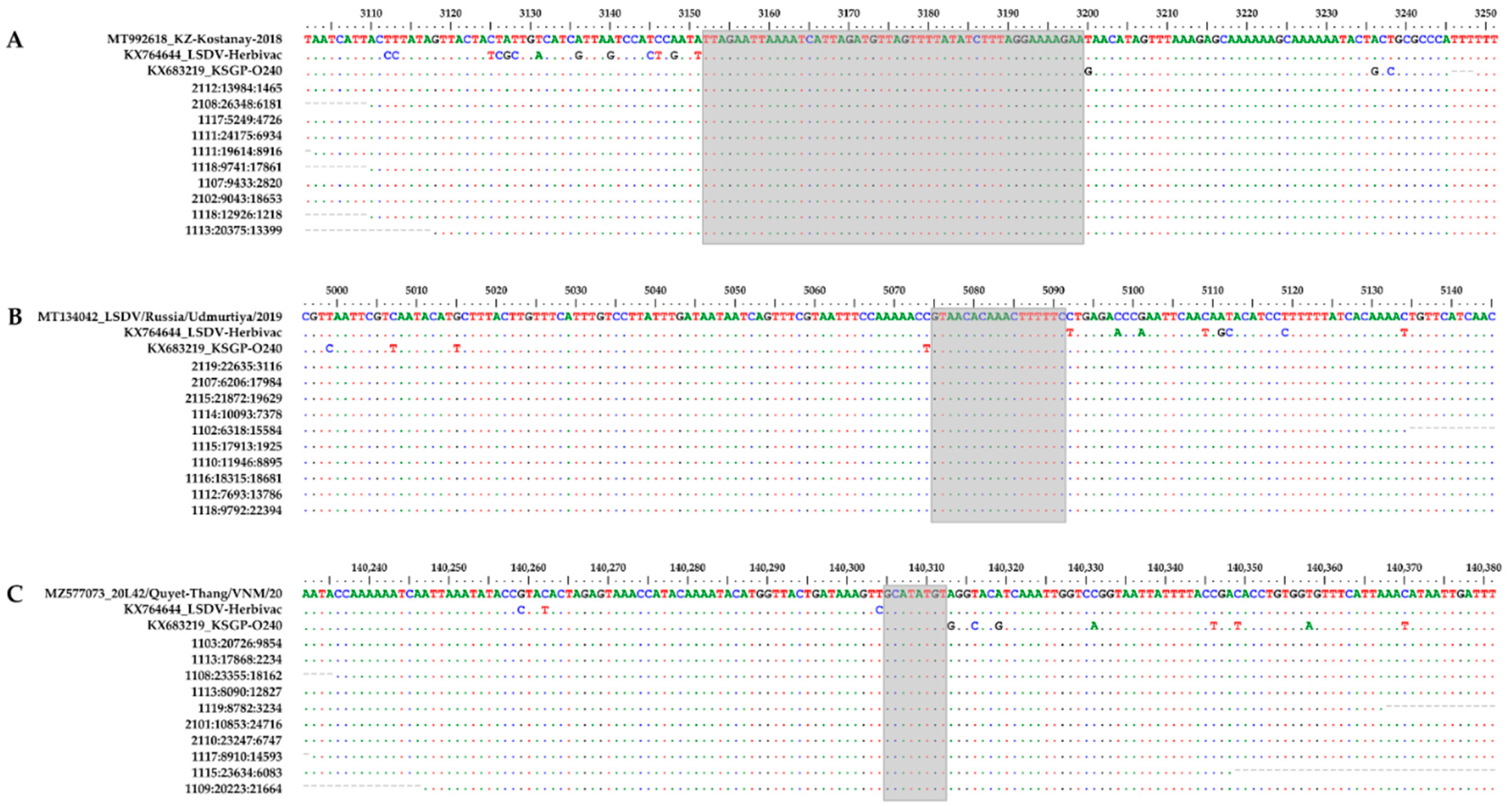 Viruses 14 01429 g004