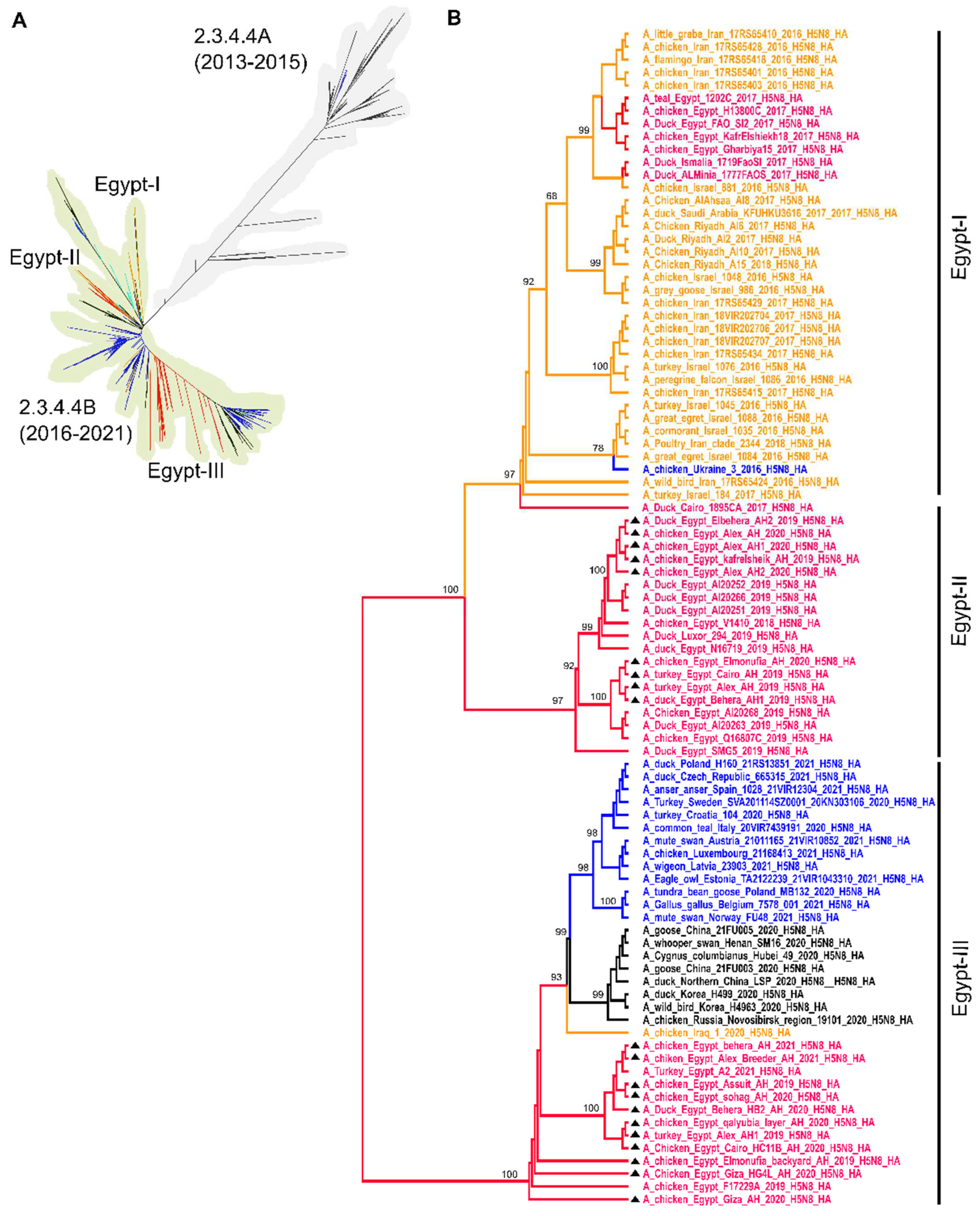 Viruses 14 01431 g001