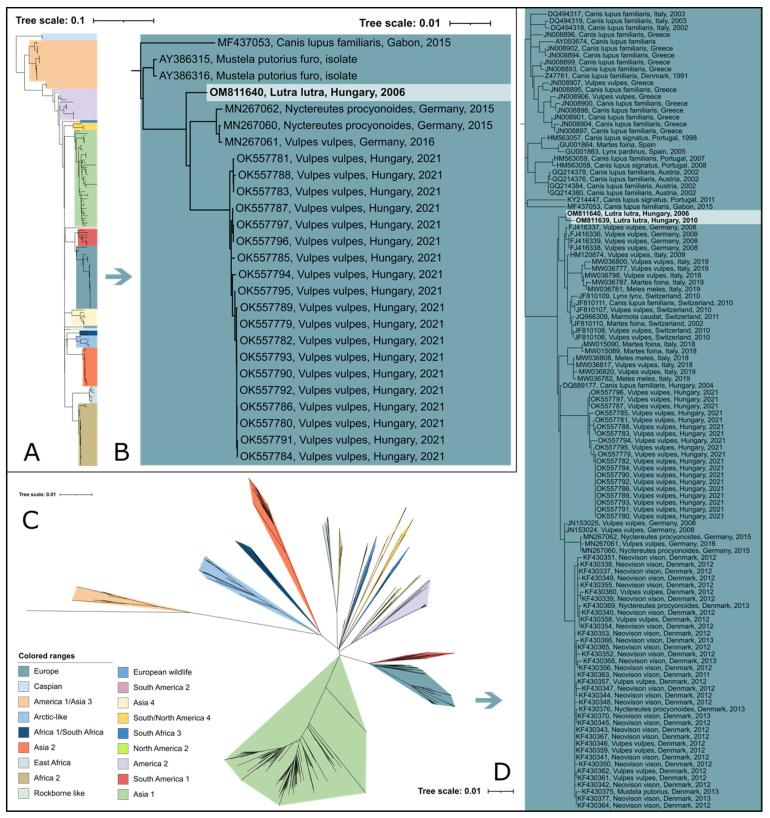 Viruses 14 01433 g002 Viruses 14 01433 g002