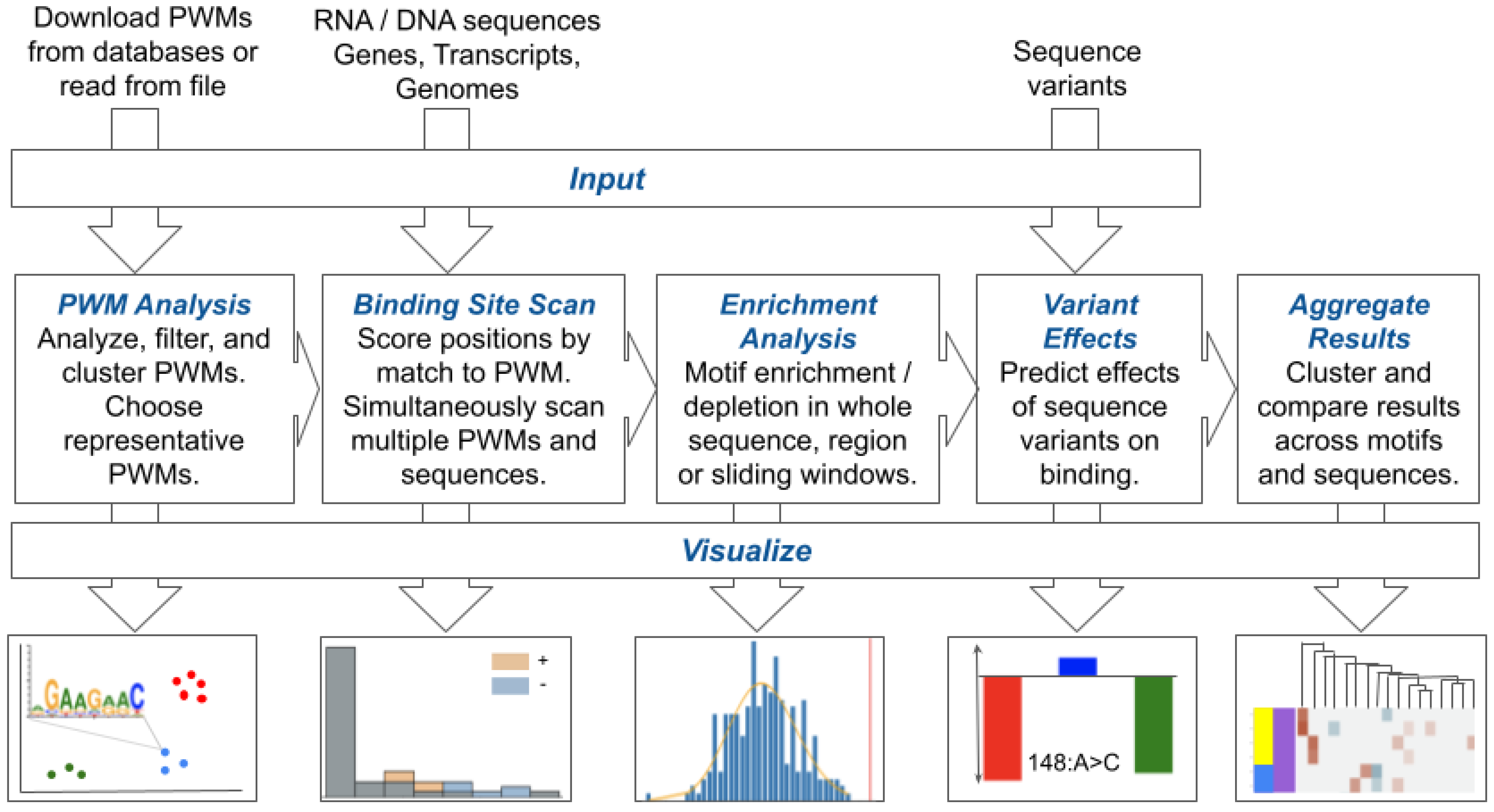Viruses 14 01436 g001 550