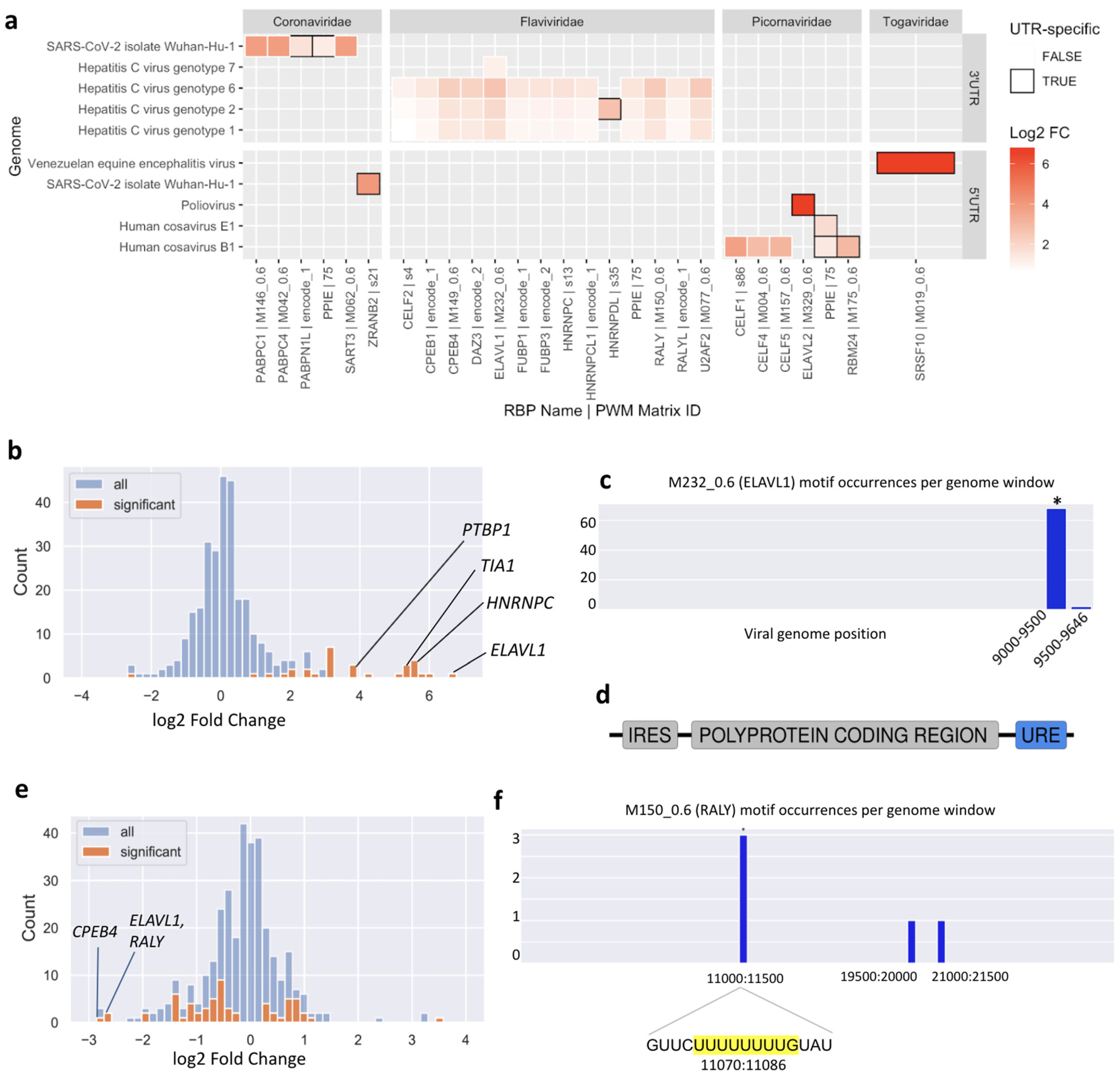 Viruses 14 01436 g004 550