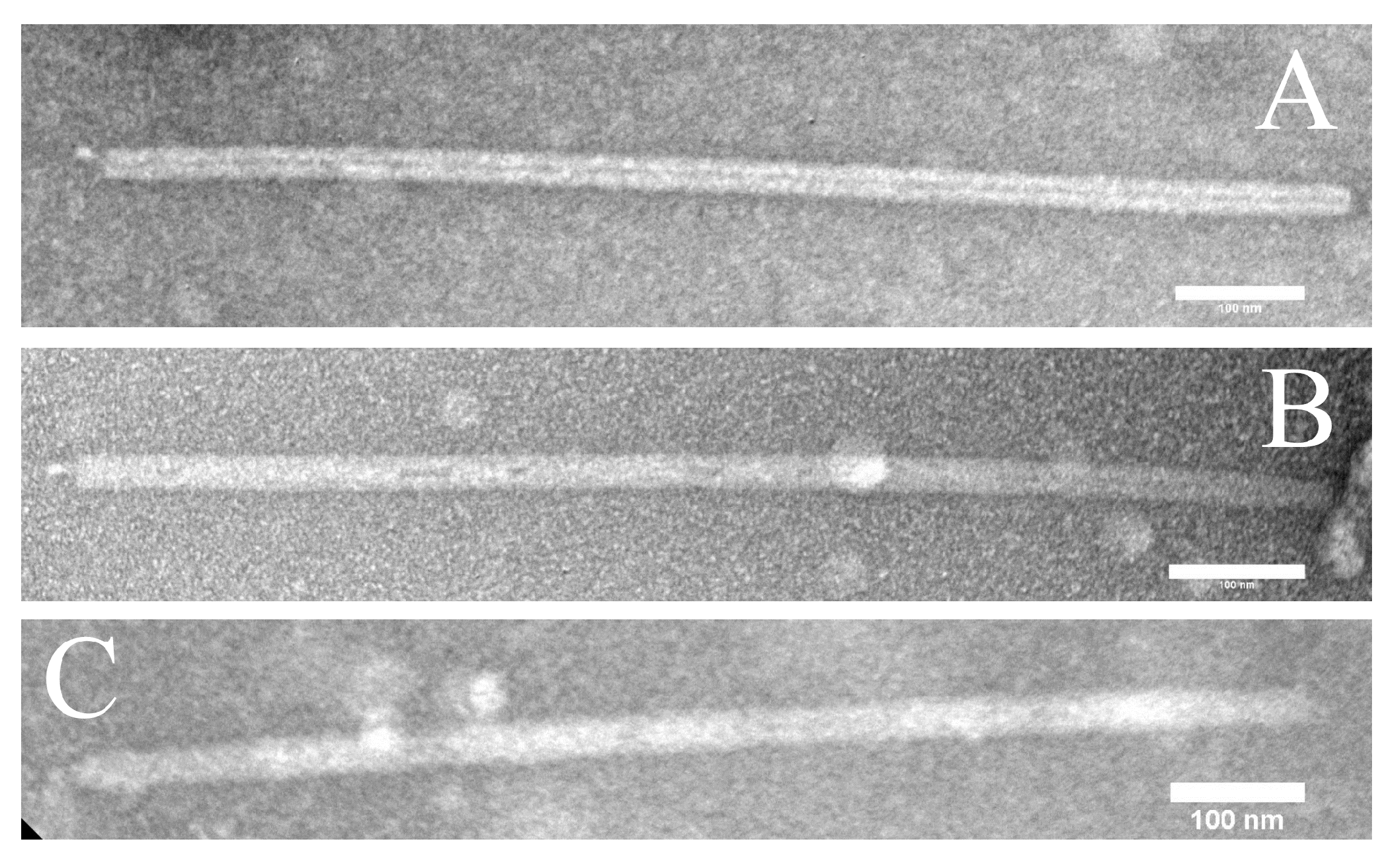 Viruses 14 01439 g002 Viruses 14 01439 g002