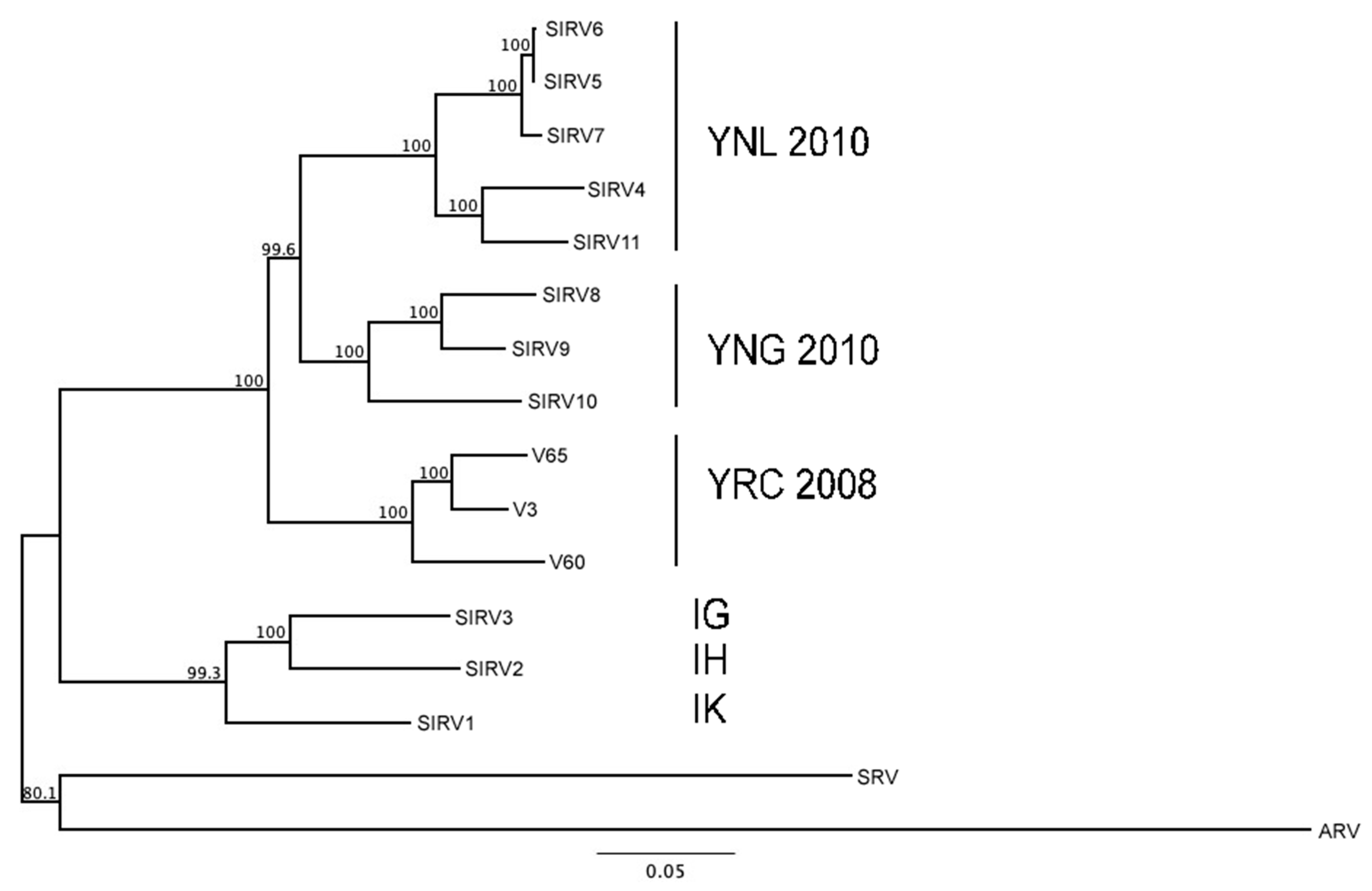 Viruses 14 01439 g003 Viruses 14 01439 g003