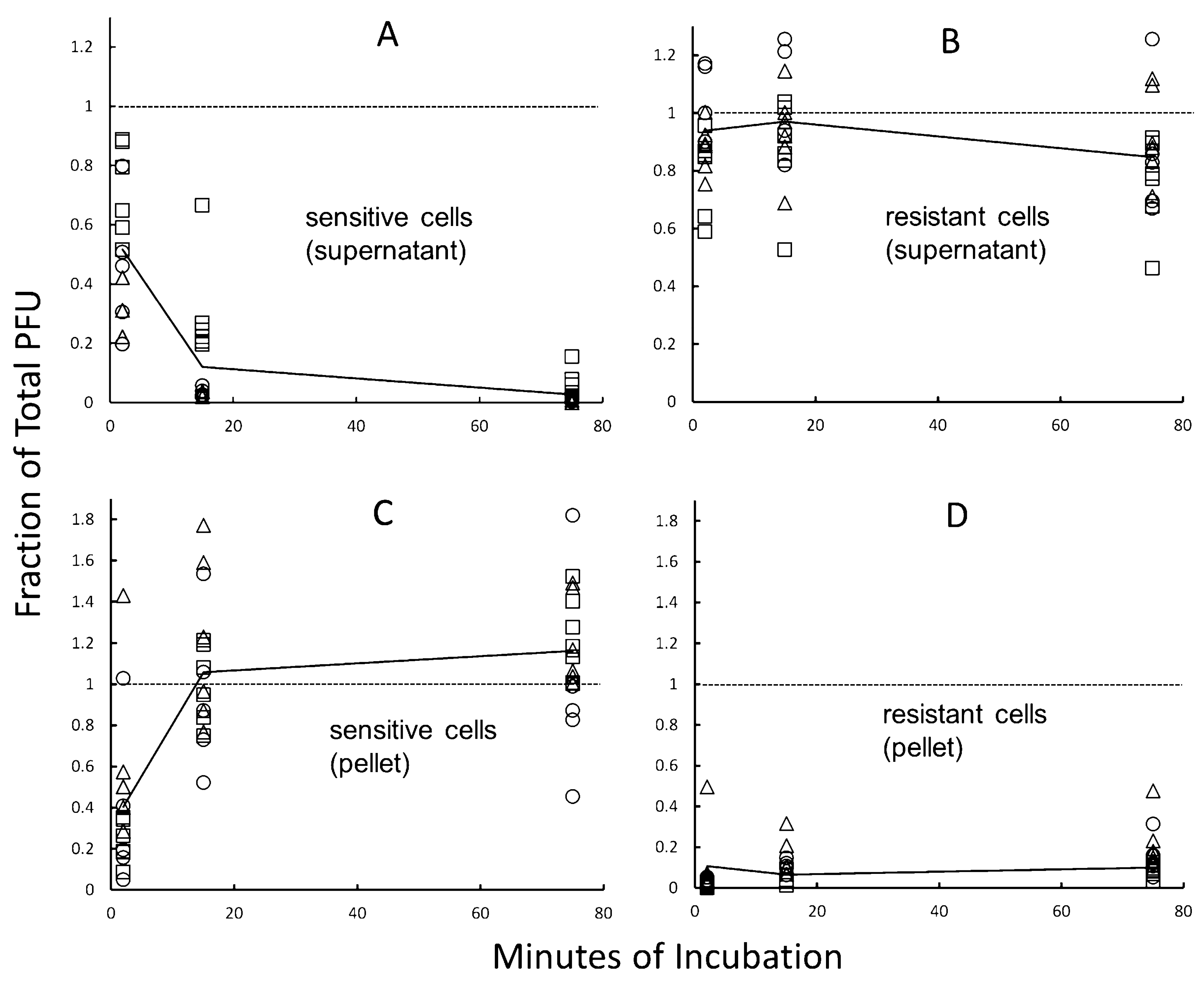 Viruses 14 01439 g007 Viruses 14 01439 g007