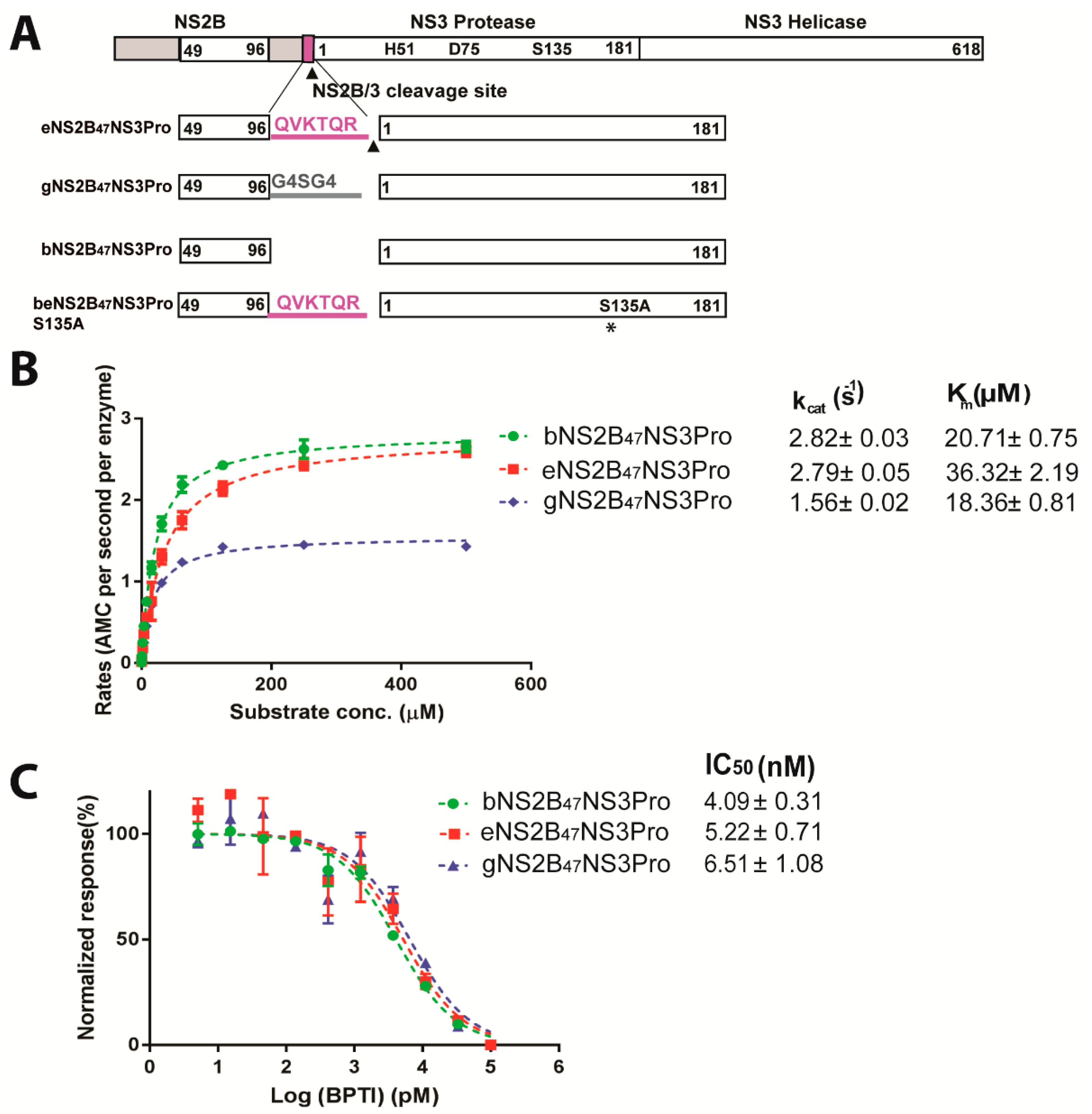 Viruses 14 01440 g001 Viruses 14 01440 g001